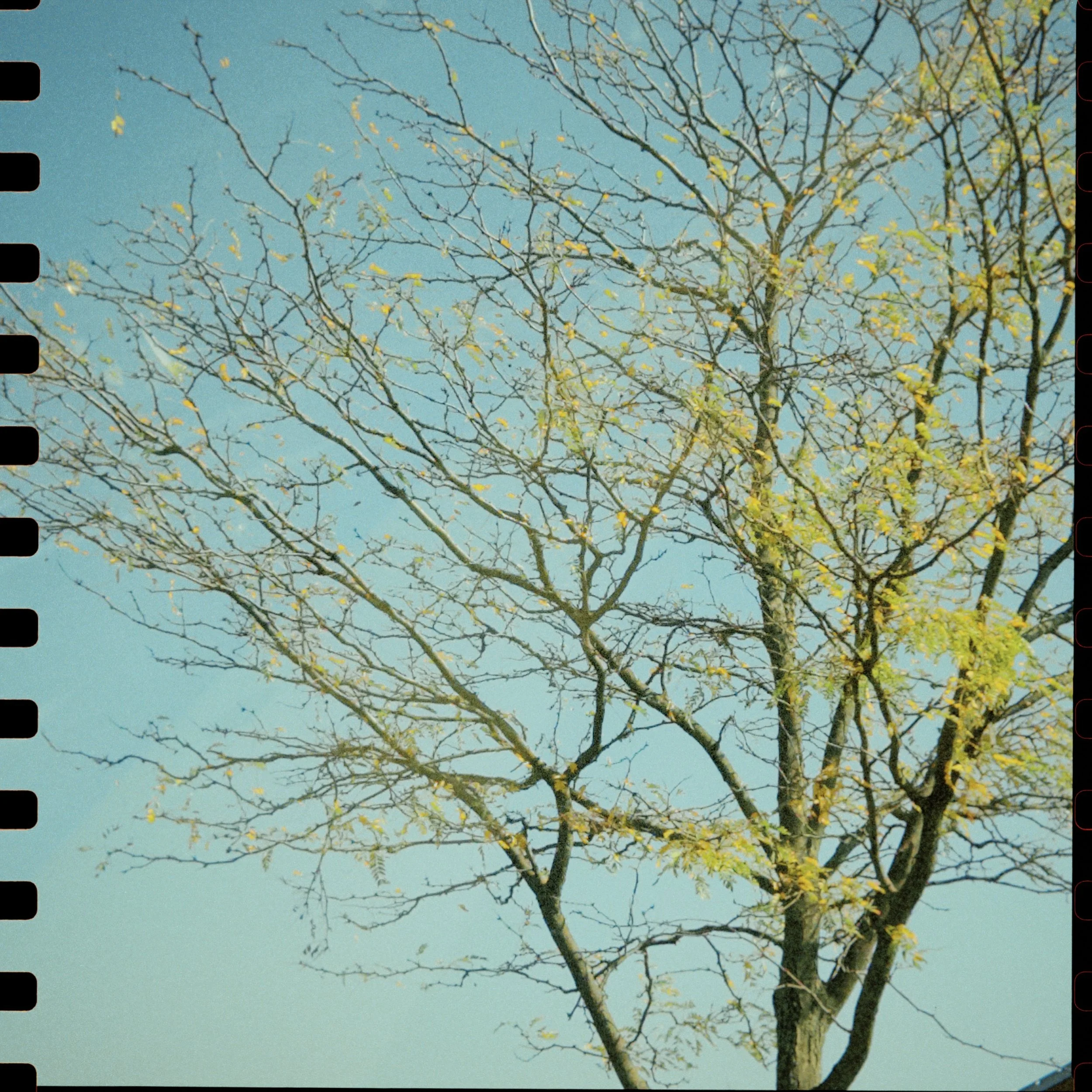 kv88 2024-09-21 115637.197.JPG