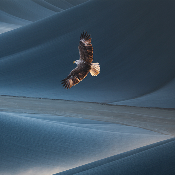 Our deals keep slipping or stalling. Why aren’t we closing?