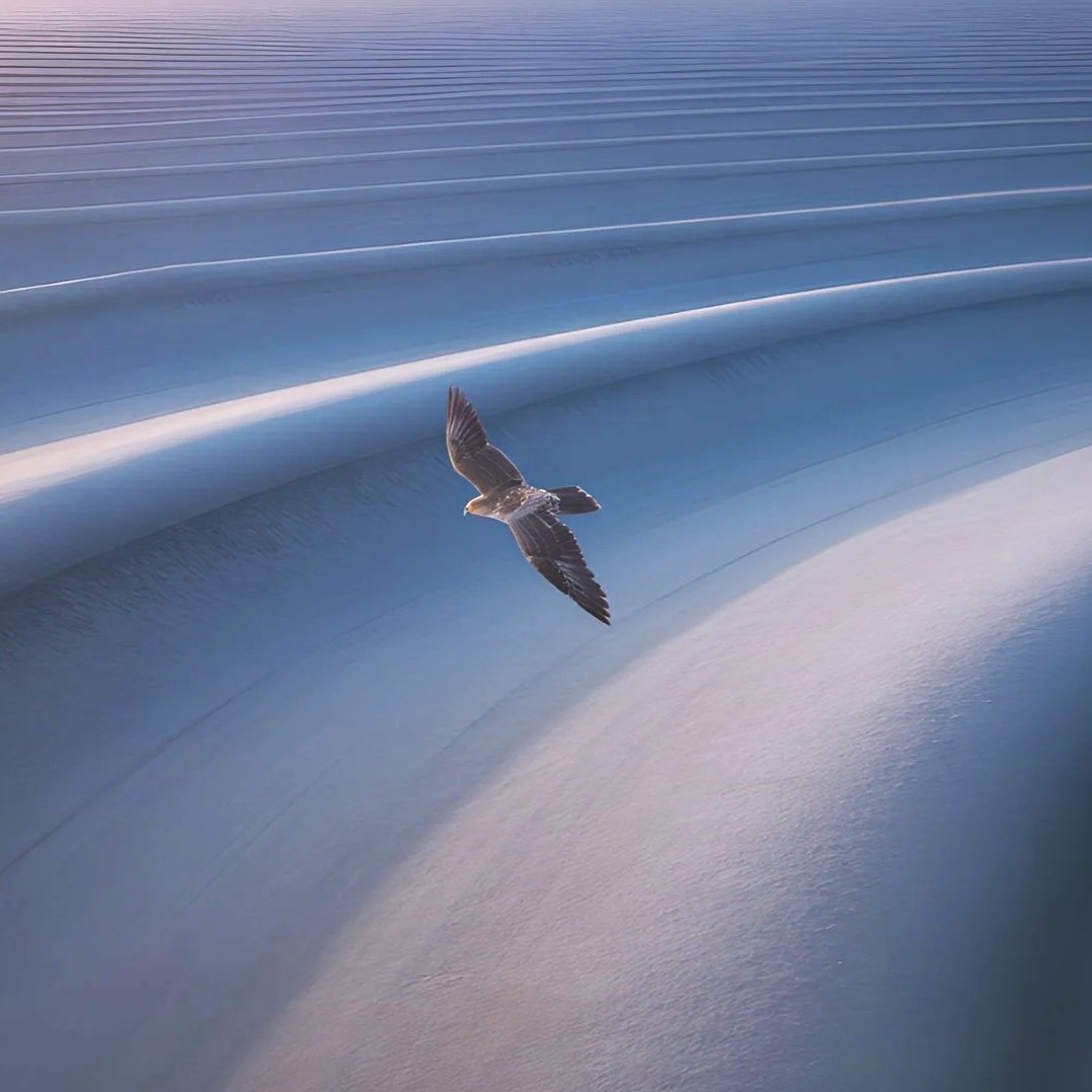 We solve the problem, but buyers still hesitate. Why?