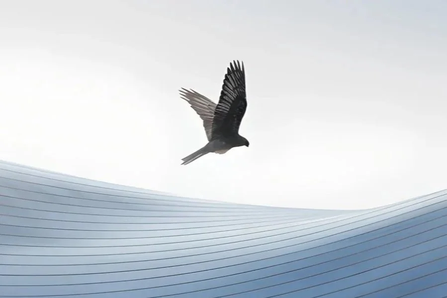 We keep making changes, but sales doesn’t improve. Why?