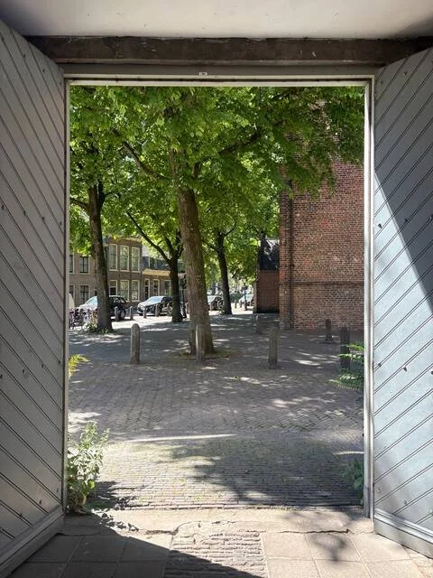 Uitzicht op een straat met bomen en auto’s, gezien vanuit een open deuropening