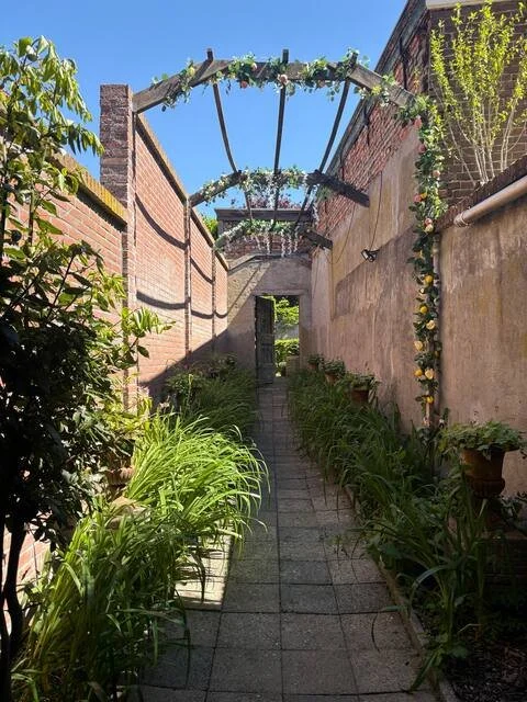 Een smalle tuin met groene planten aan beide zijden en een stenen pad. Boven het pad hangt een houten pergola met bloemen en planten.