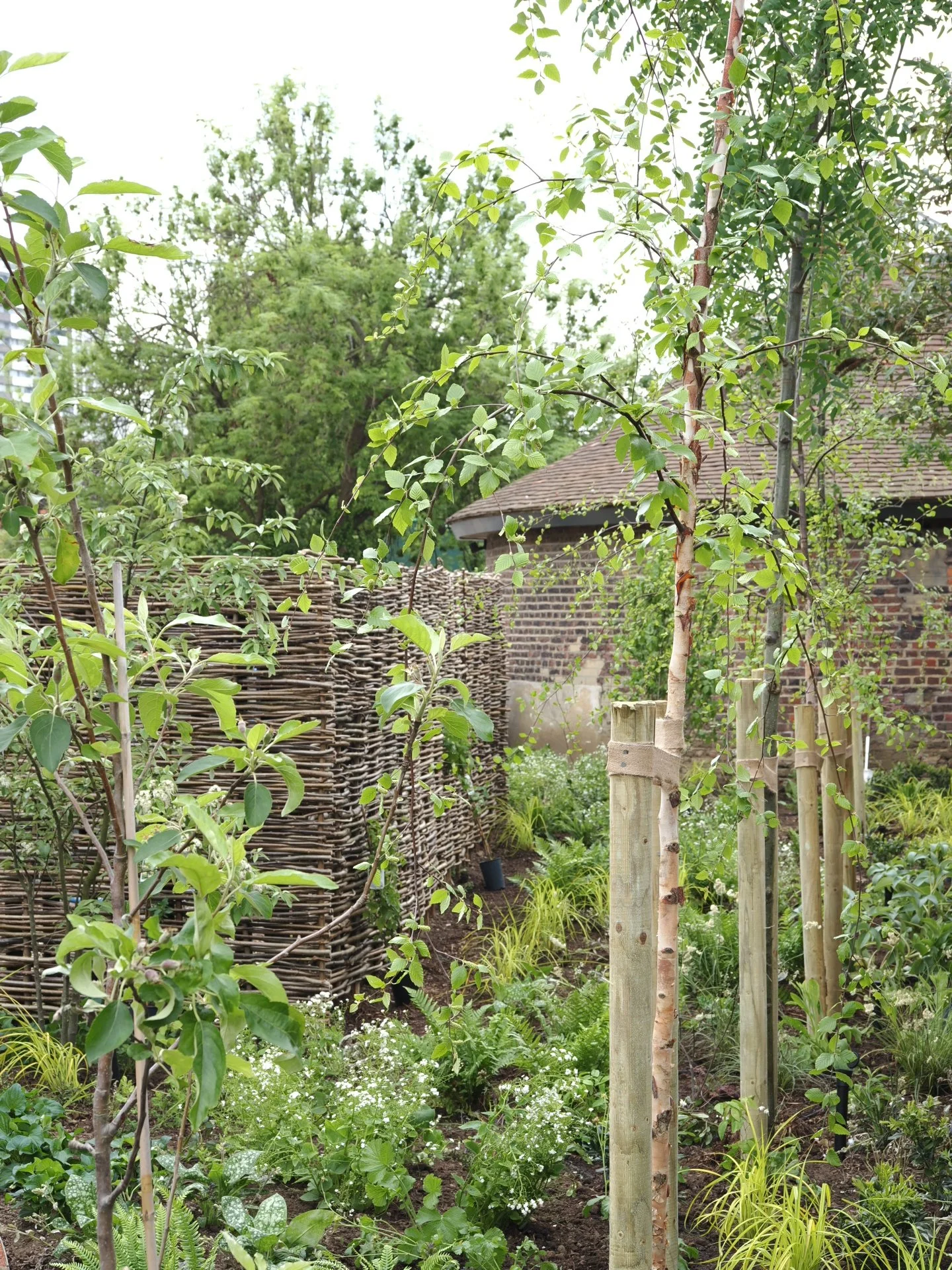 Quentin Blake Centre for Illustration
- An historic site with areas of depaving and new planting. 
