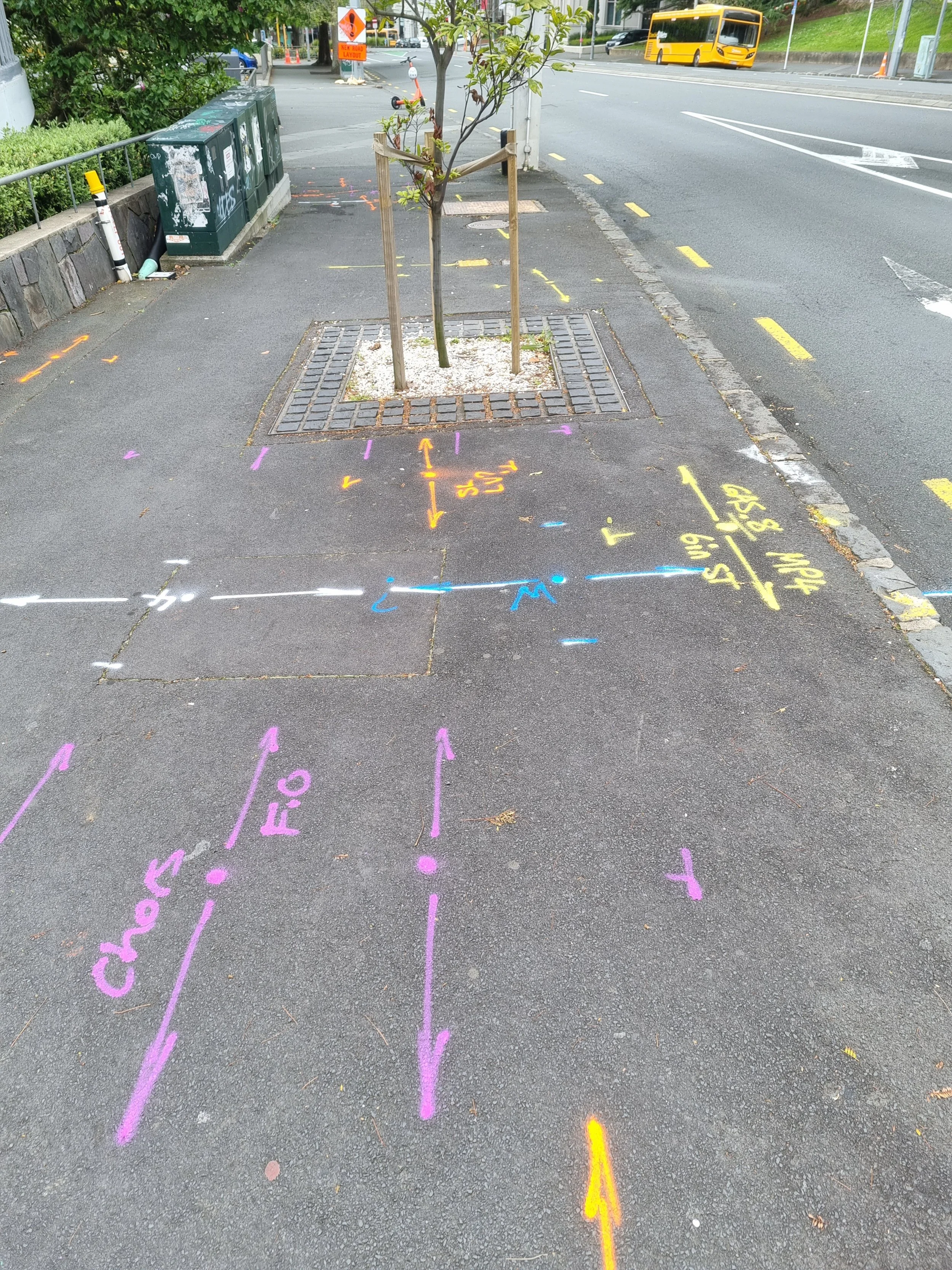 Street sidewalk with colorful chalk markings and a young tree in the center, surrounded by a metal grate. In the background, traffic cones, a construction sign, and a yellow bus are visible.