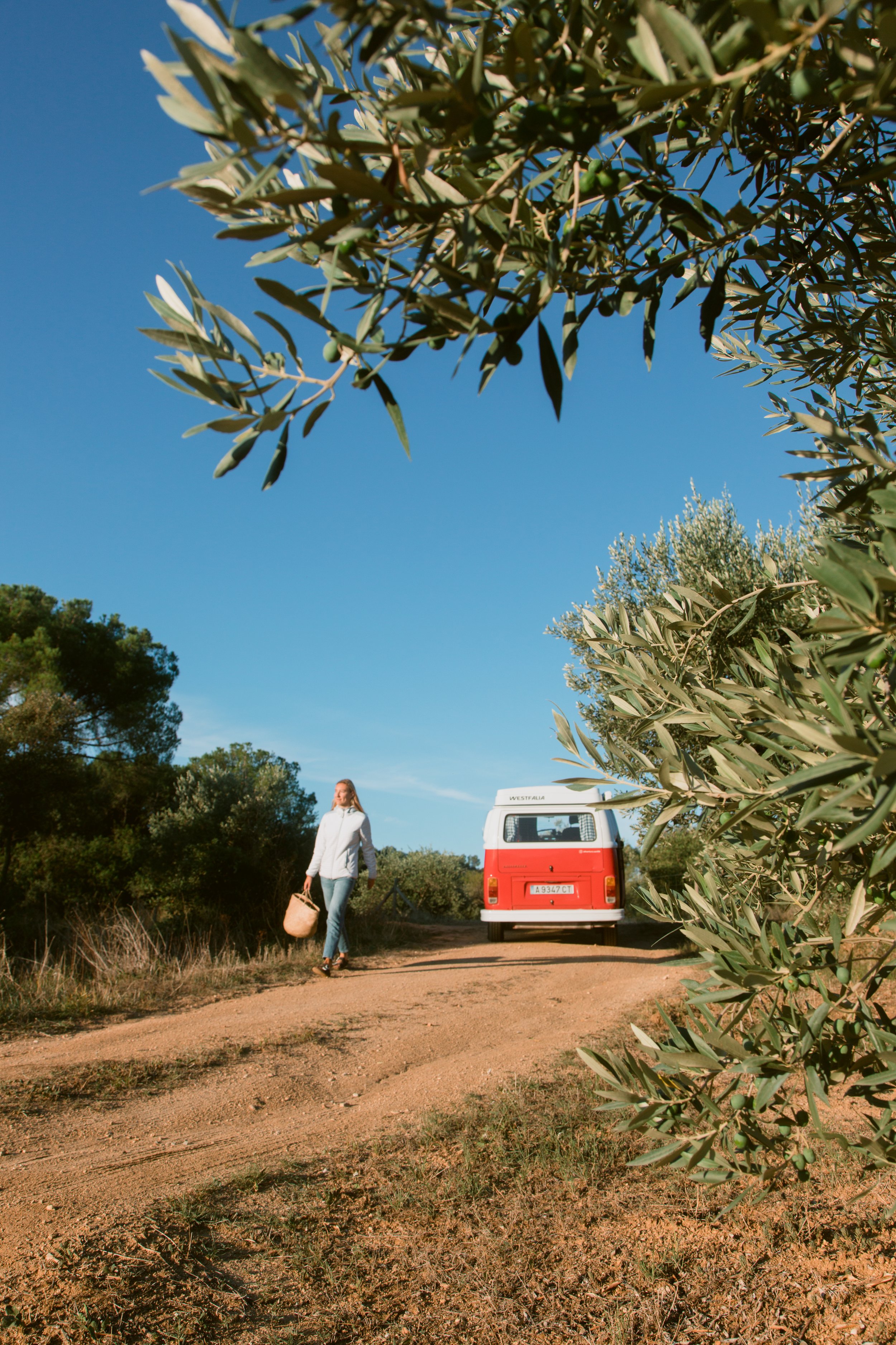 Advantura Vanlife