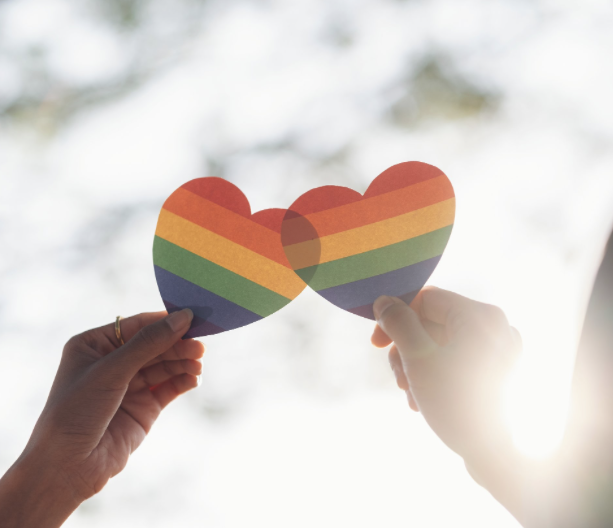 Lutte contre l'homophobie</span>