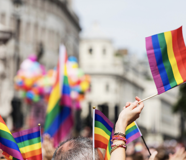 Lutte contre l'homophobie</span>