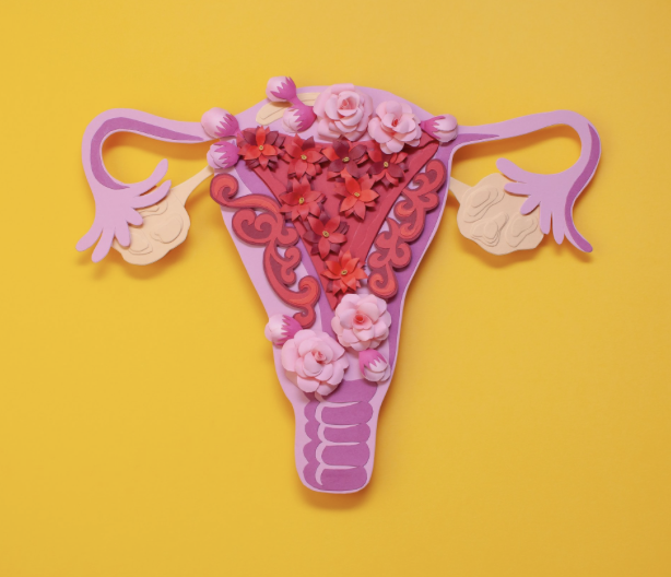 Journée mondiale de l'endométriose</span>