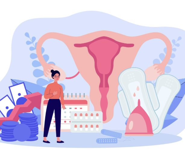Lutte contre la précarité menstruelle</span>