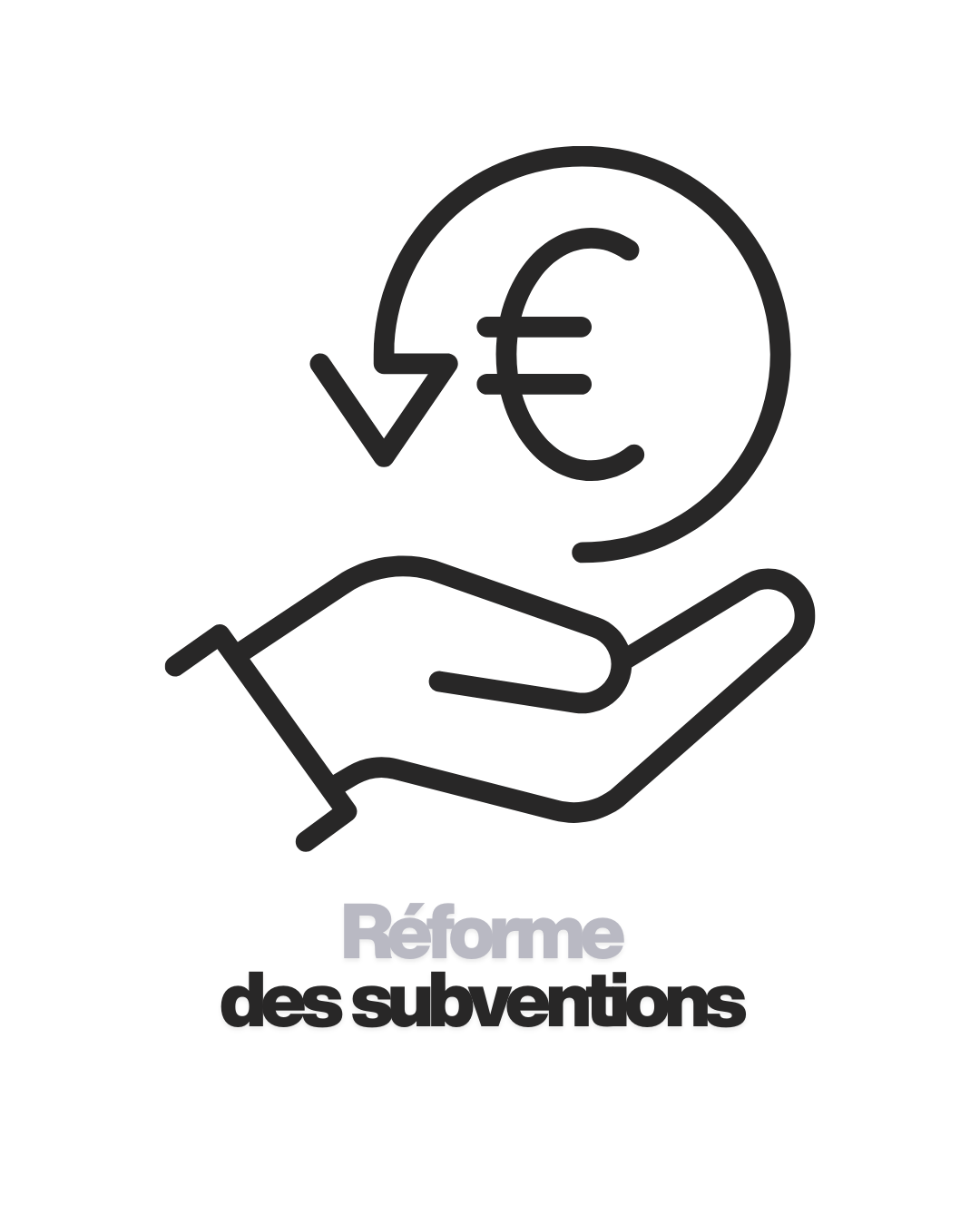 Chaos instauré par la réforme des subventions facultatives