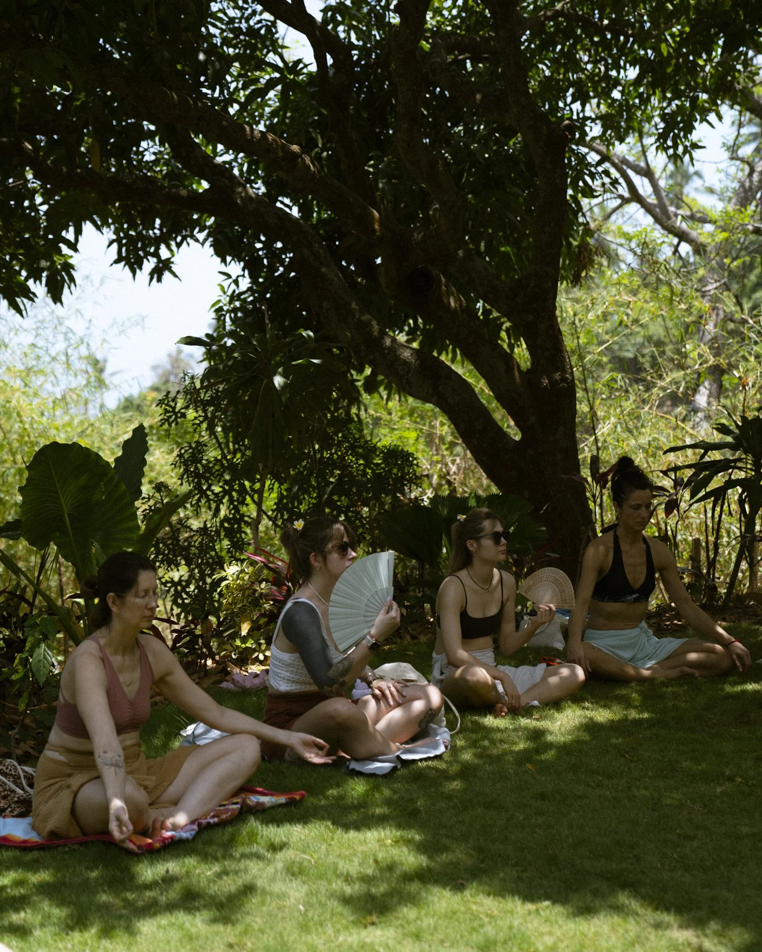 Five women sitting cross-legged on grass in a peaceful outdoor setting, meditating beneath a large tree surrounded by lush green plants.