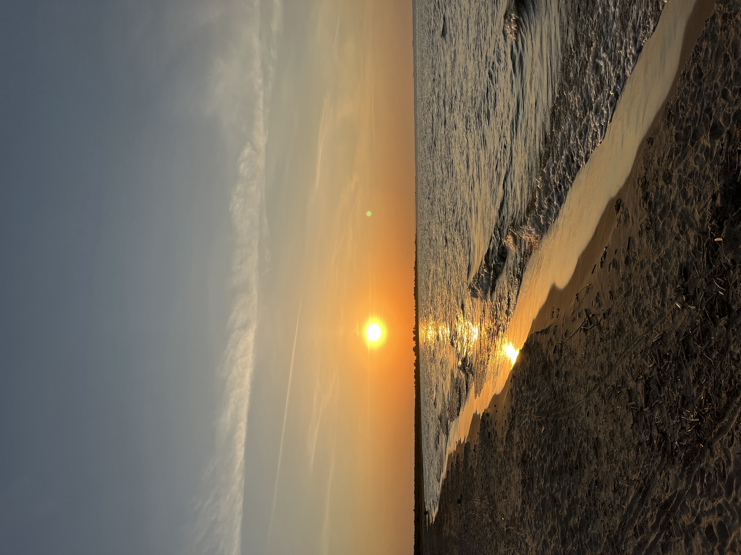 IMG_95018CeNPN.png