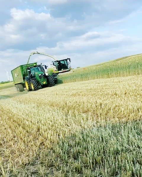 GPS Ernte #claasjaguar #classjaguar950 #gpsernte🌾😁 #bergmannhtw45 #johndeere #sommersonnesonnenschein☀️