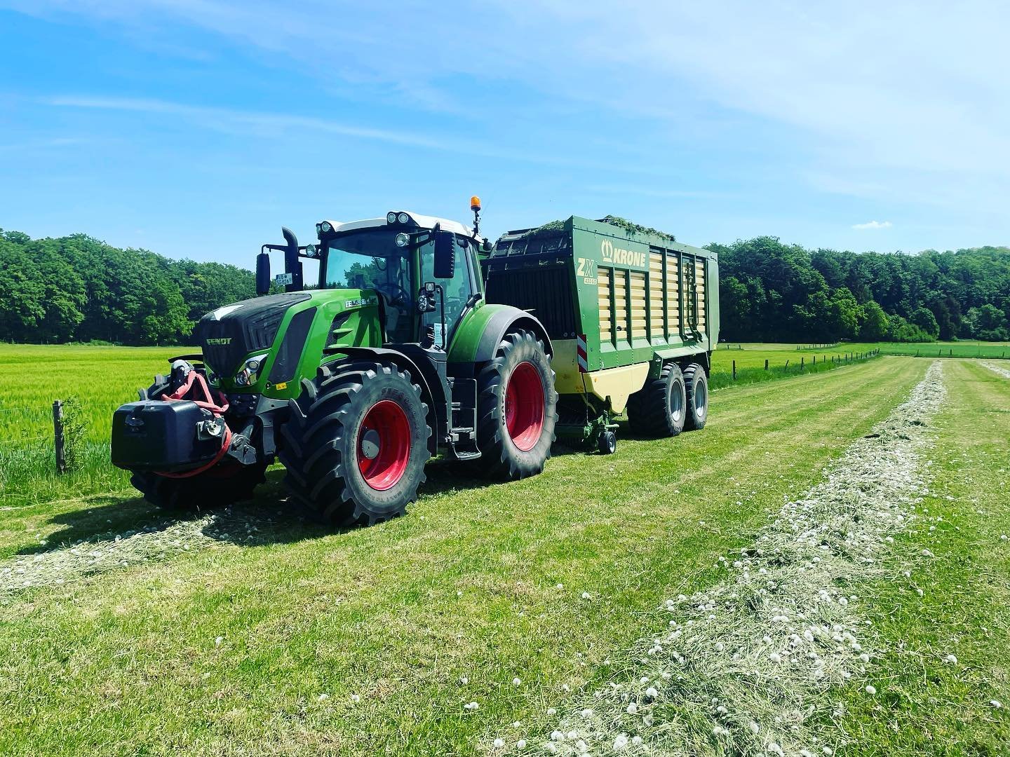 Volle pulle im ersten schnitt 💪🏼😜#krone #fendtglobal #fendt824 #kronethepowerofgreen #kronezx #ersterschnitt #kaiserwetter #solässtessicharbeiten😎