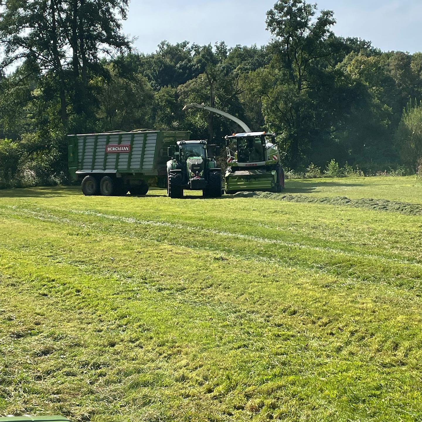 Bevor es mit dem Mais losgeht, fahren wir noch den 3. und 4. schnitt weg. #fendt824 #claasjaguar950 #bergmannhäckselwagen #wetterausnutzen👌🌞