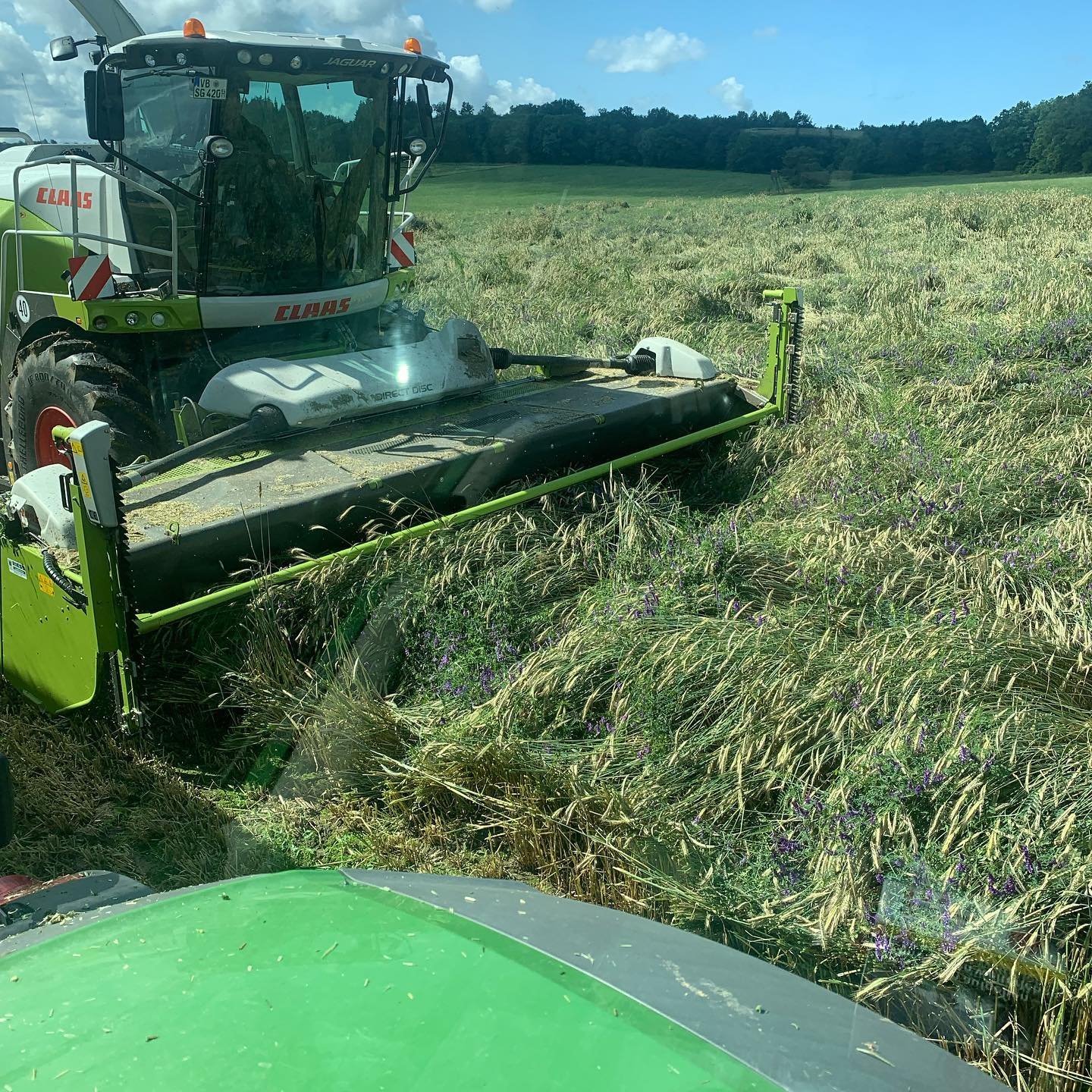 Heute gehts weiter mit gps häckseln für eine biogasanlage. Die Bestände sind dieses Jahr mehr als gut, aber kein Problem für unser Direct Disc 💪🏼💪🏼✌🏼#claas #claasjaguar950 #fendt824vario #bergmannhäckselwagen #gpshä