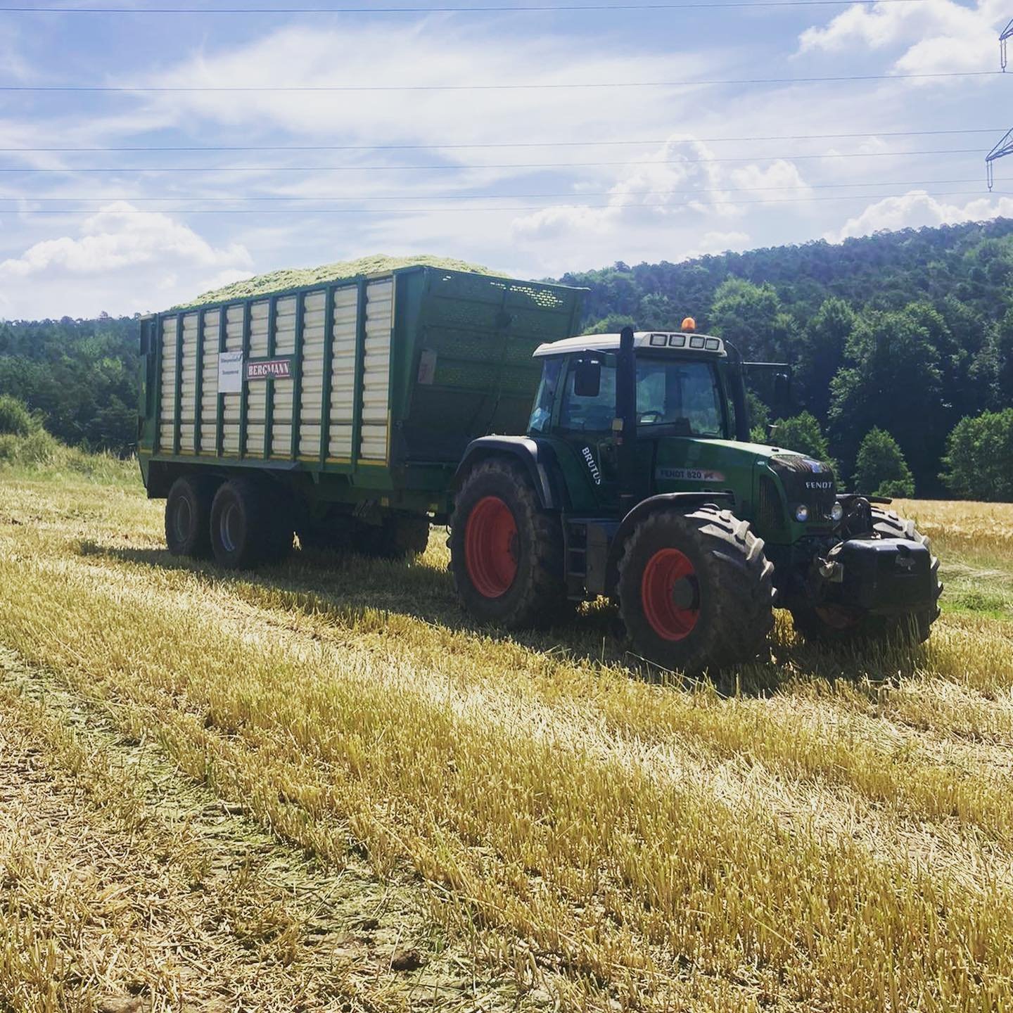 Wetter ausnutzen🌞✌🏼. Gleichzeitig zum 2. und 3. schnitt läuft die GPS Ernte für eine Biogasanlage. #claasjaguar950 #fendt820 #brutus #bergmannhäckselwagen #gpsernte🌾😁 #fendt818 #flieglgigant