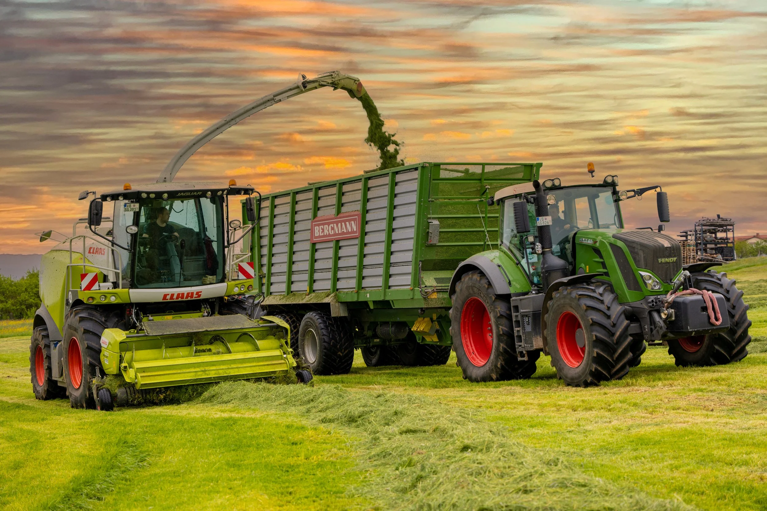 Mähdrescher und Traktor bei der Ernte auf einem Feld bei Sonnenuntergang.