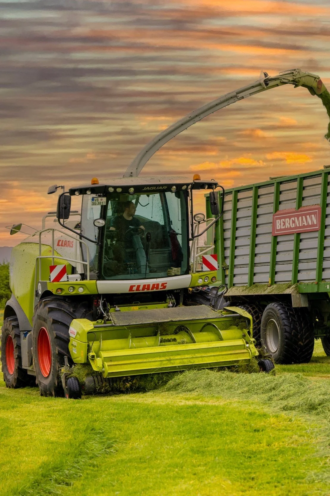 Ein Mähdrescher der Marke Claas arbeitet auf einem Feld und lädt geschnittenes Gras in einen Anhänger der Marke Bergmann. Der Himmel im Hintergrund ist bewölkt mit einem rötlichen Sonnenuntergang.