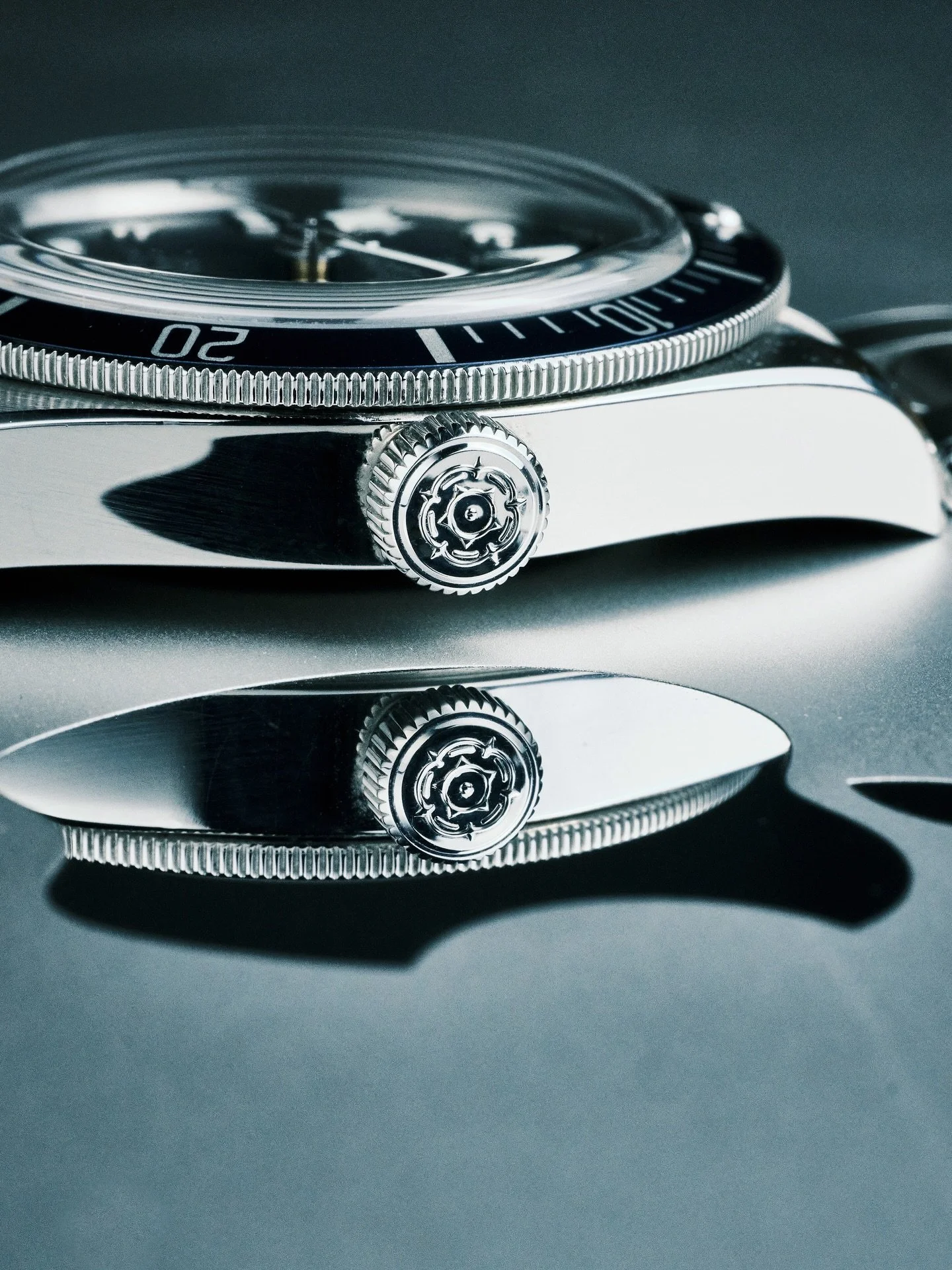 Two of my favourite things in life ⌚️🍎

#tudor #tudorwatch
#tudorbb #swisswatch #automaticwatch #wristwatch #diverwatch #beautifulwatch #photography #collection #passion #hobby #northampton #watchesofinstagram #watches #watchthisinstagood #watchphot
