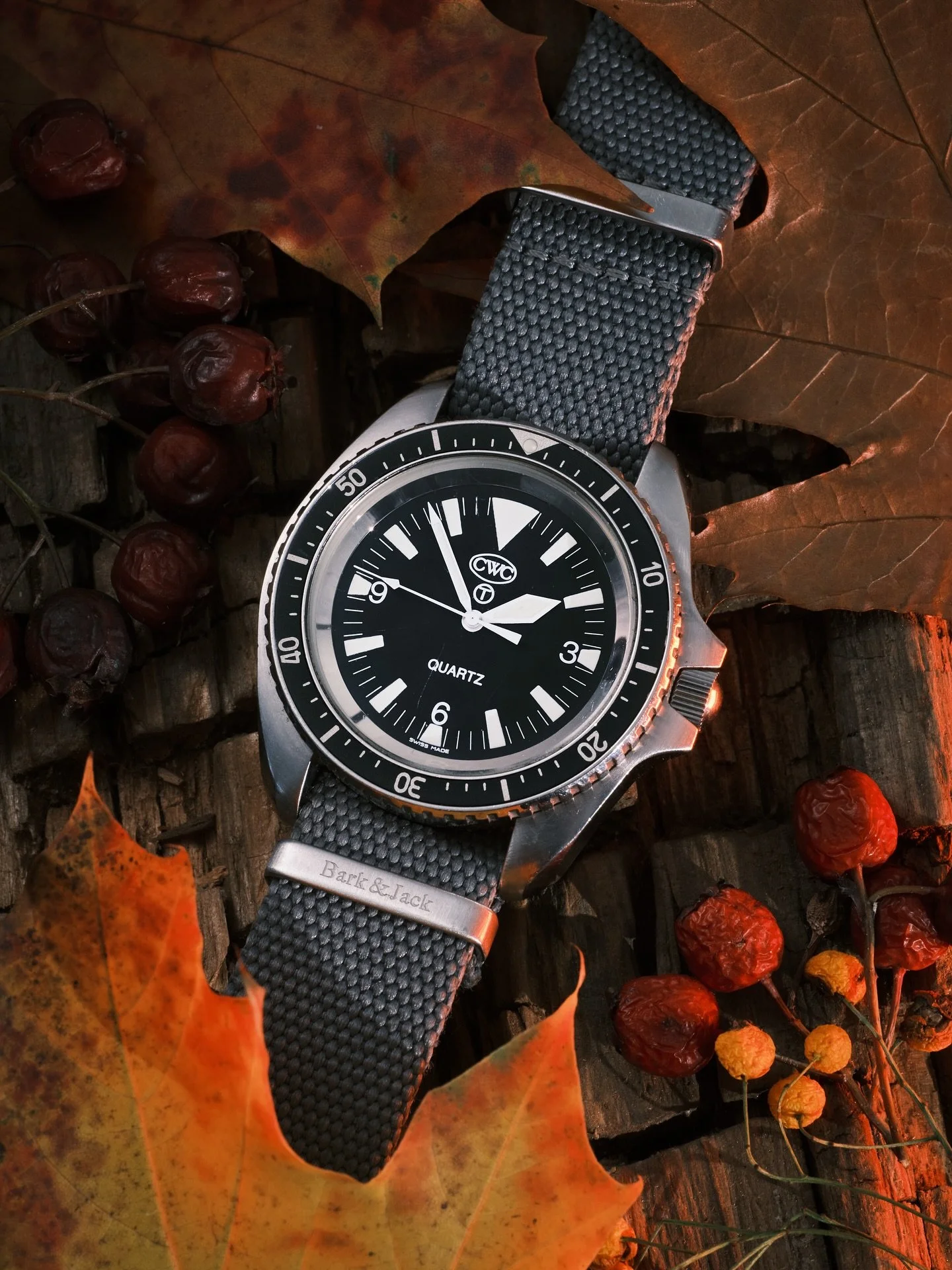Day two of #autumnwatchweek and we see the delightfully beautiful @cwcwatch RN Diver looking at home nestled in autumnal 🍂 leaves 🍁. 

This may be the best looking military watch made - grab and go Quartz movement and the stunning case shape. What&