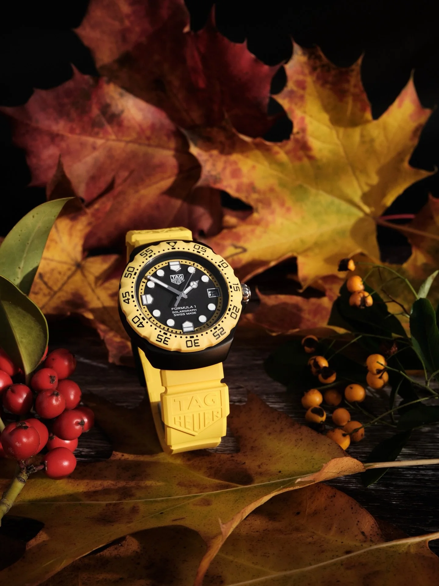 🍁Last day on #autumnwatchweek and what a superb one it&rsquo;s been. 🍁Huge shout out and thanks to @hendersonshorology for arranging this. 🍁It&rsquo;s been fabulous to see so many creative shots this week - very inspiring. 🤙

Here&rsquo;s the las