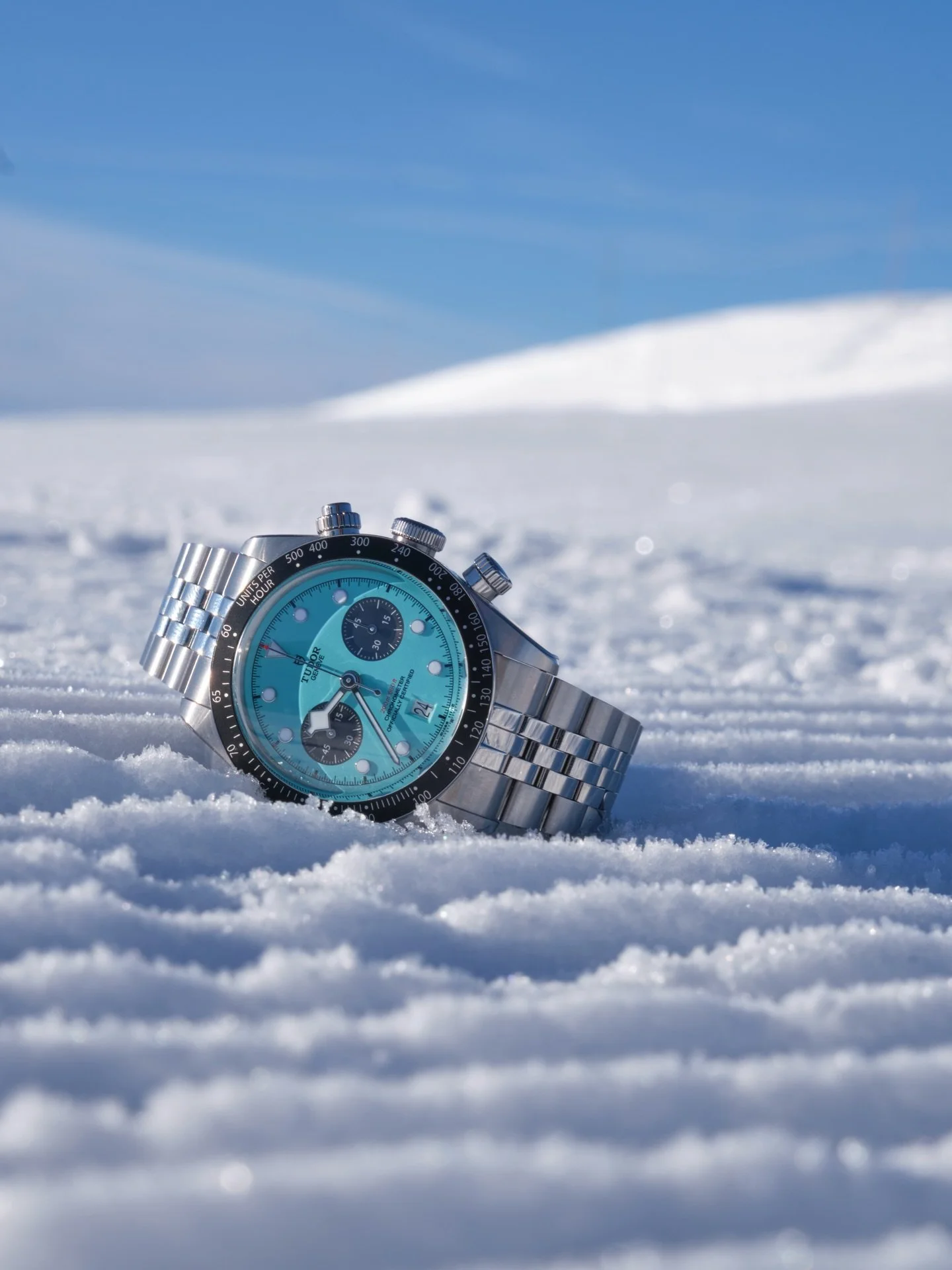 Happy Christmas 🎄 from the snowy Alps 🏔️ watchfam. Wishing you and your families a most epic time together 🙏

Flamingoes typically love the warm sunshine, but this one loves the snow. 🩵🦩

#tudorwatch #tudorwatchclub #watchfam #watchphotography #