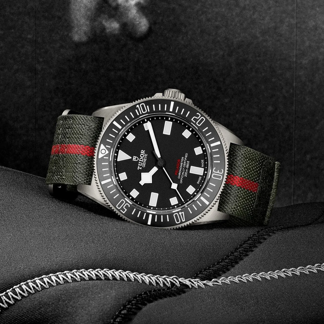 Tudor Pelagos FXD.jpeg