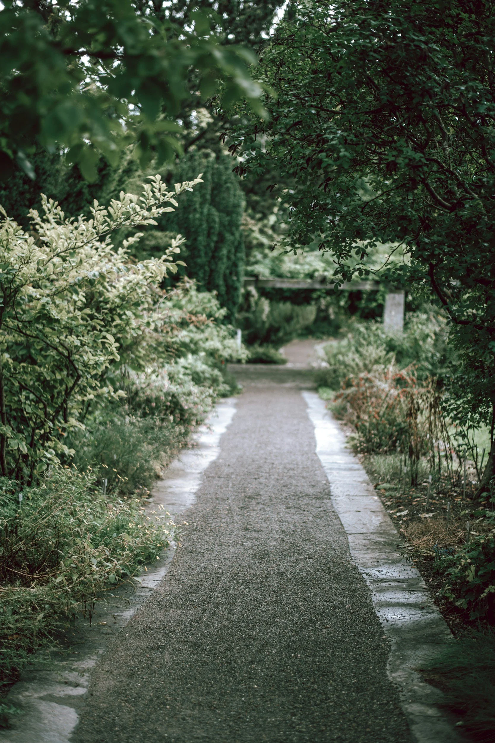 A narrow garden pathway lined with lush green foliage, plants, and trees on both sides, leading to a small bridge in the distance.