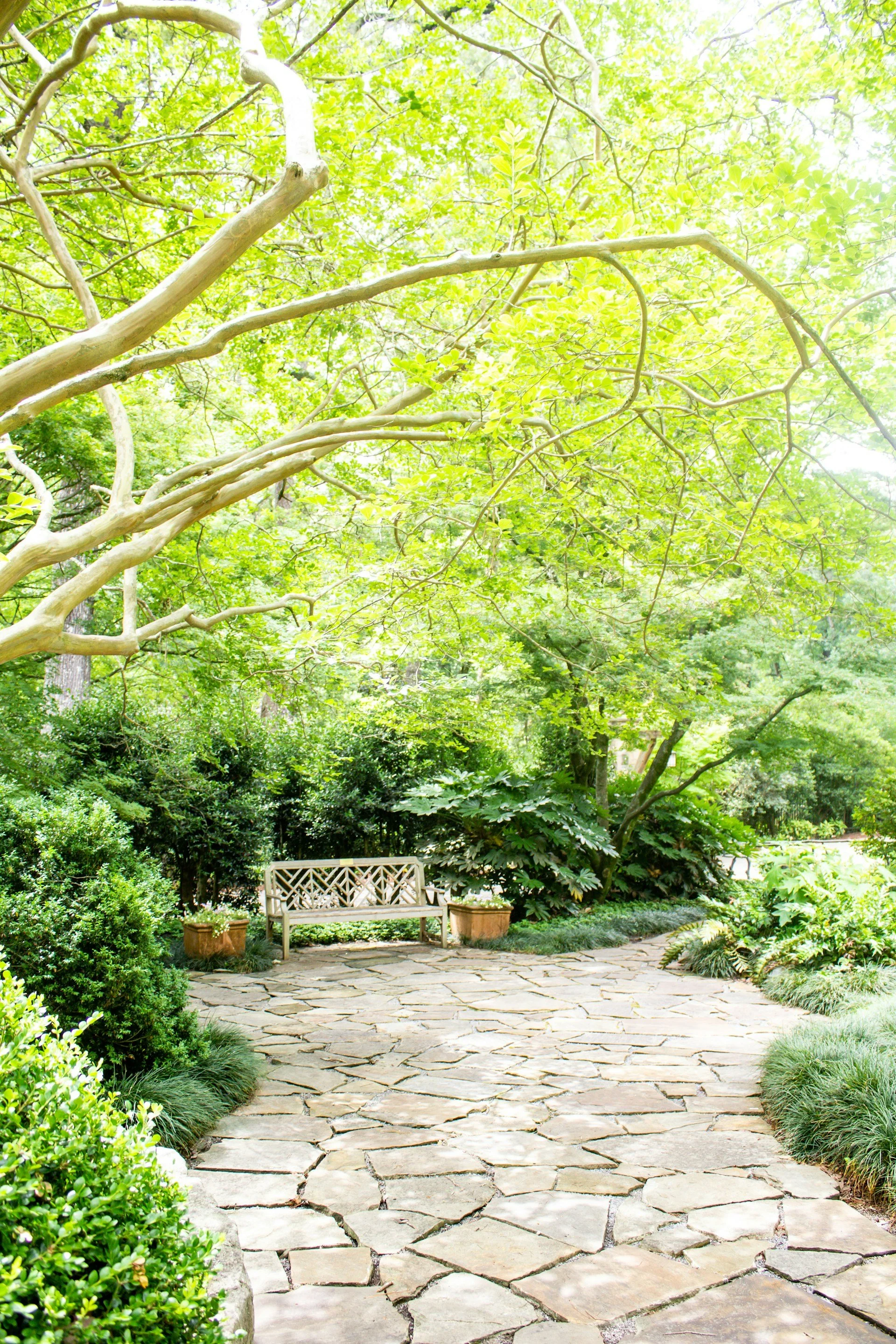A peaceful garden scene with a stone pathway, a wooden bench, lush green bushes, trees, and vibrant green foliage.