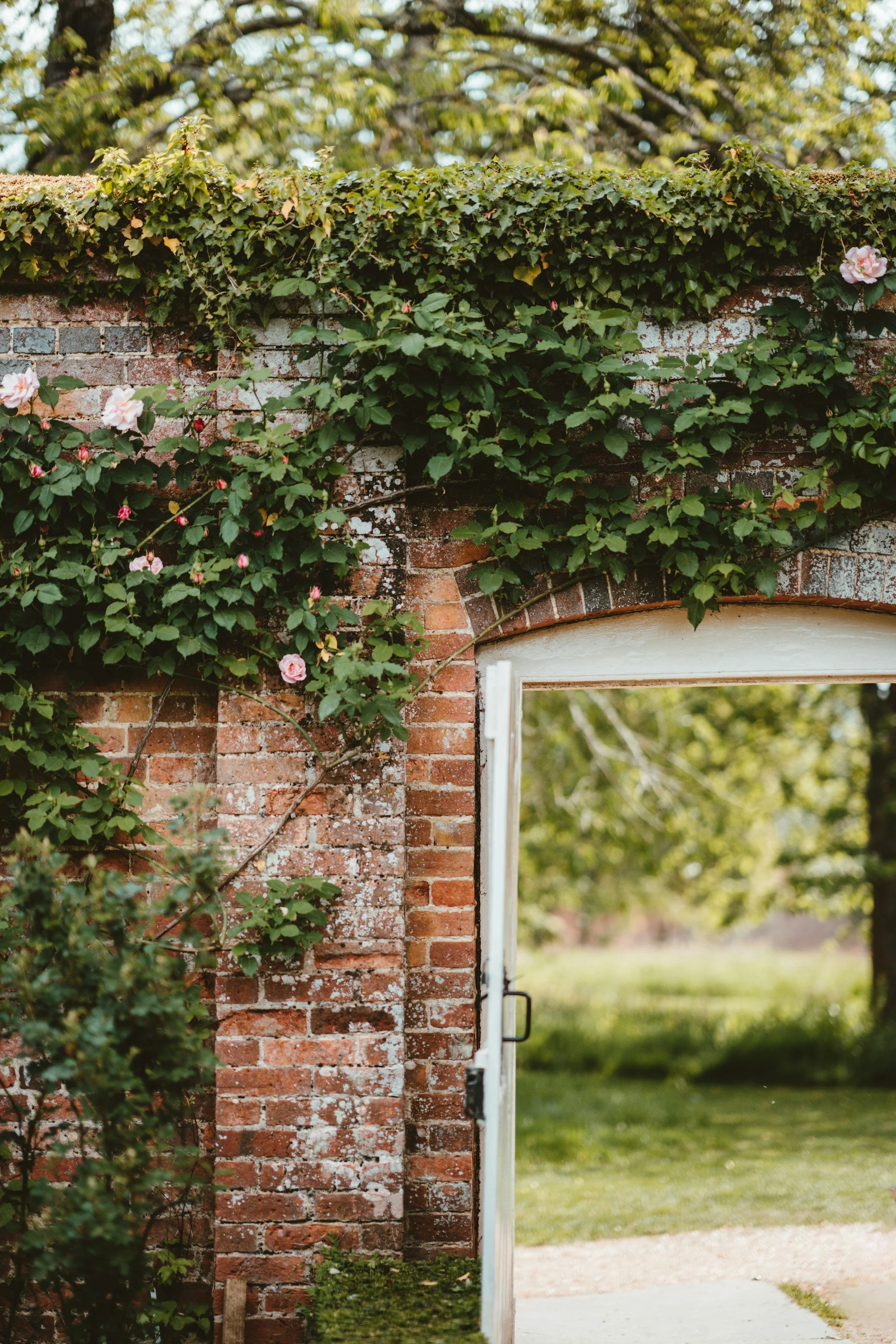An open door in a brick wall, with green vines and pink flowers growing over the top of the wall, leading to an outdoor grassy area.