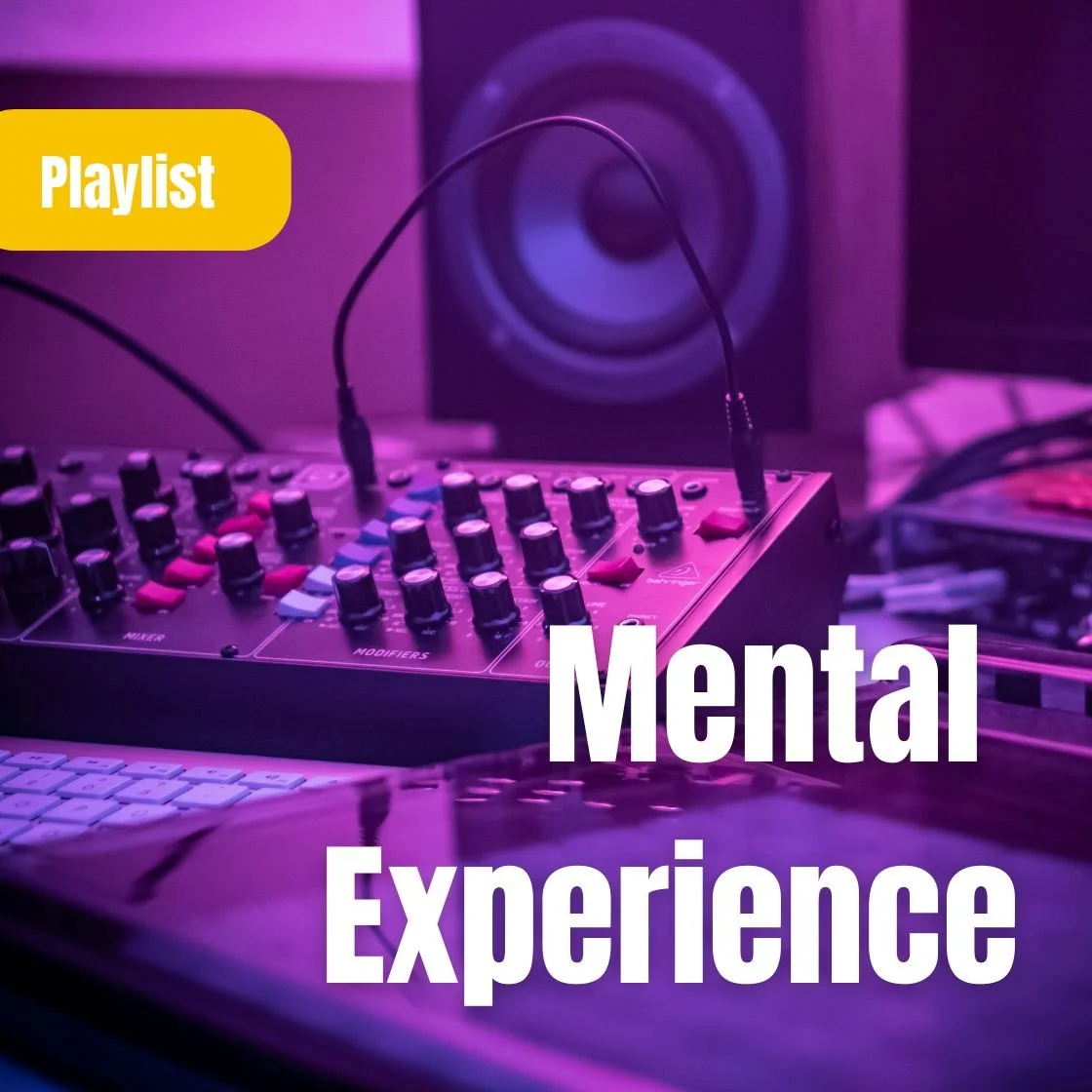 Mental Experience