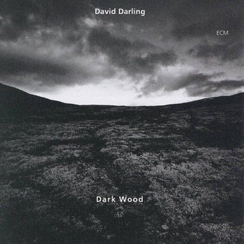Dark Wood