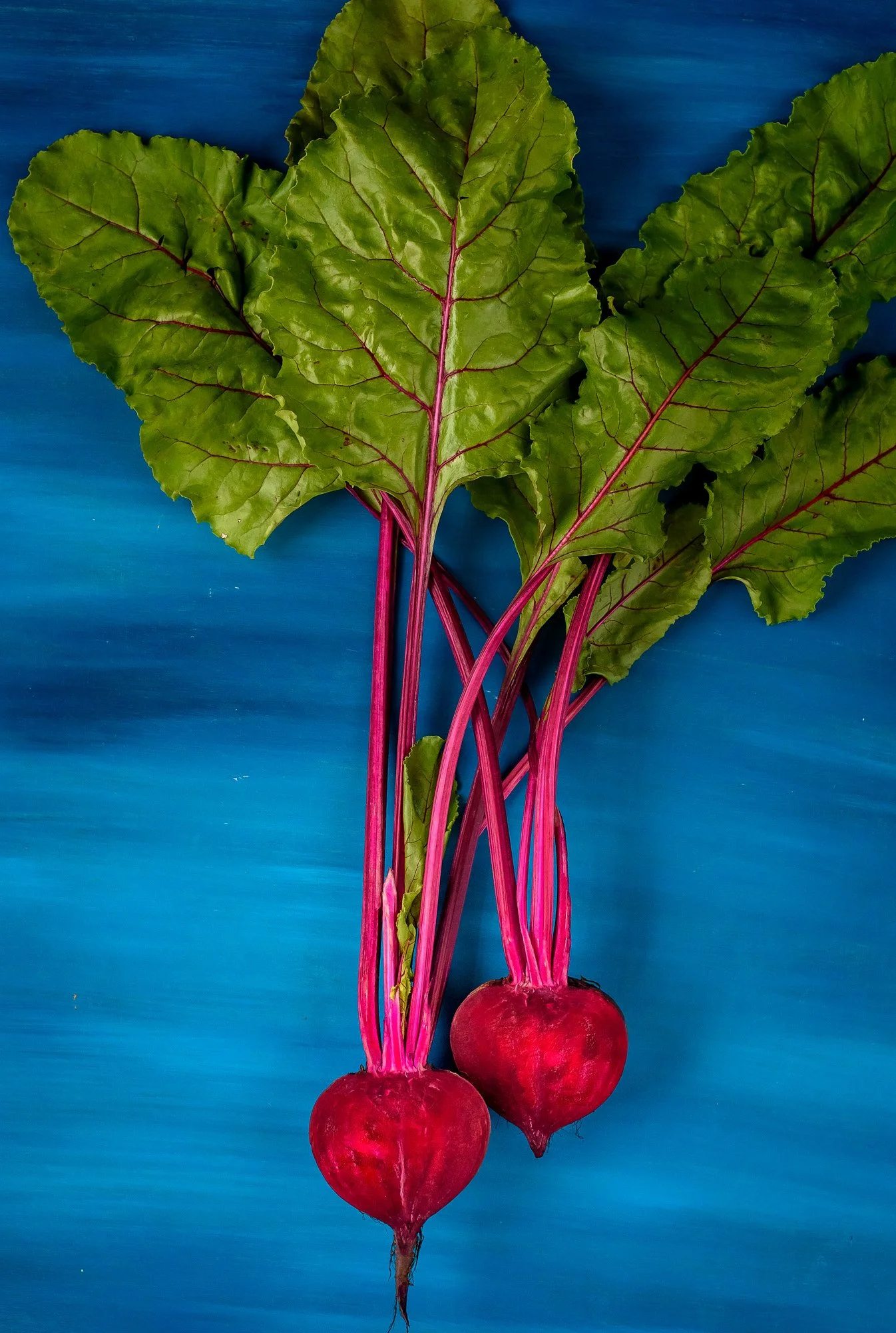 consuelaphotoart-gastronomia-barcelona DSC_0004.jpg