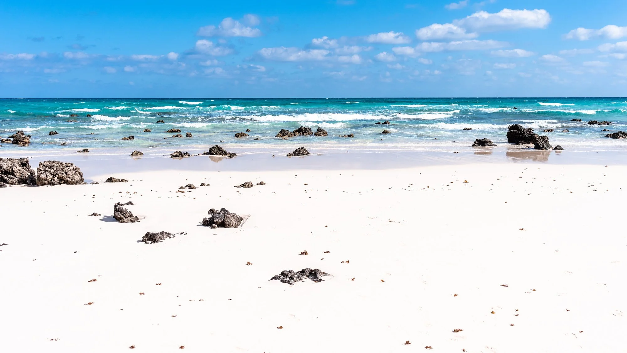 consuela-arquitectura-barcelona 5328.jpg