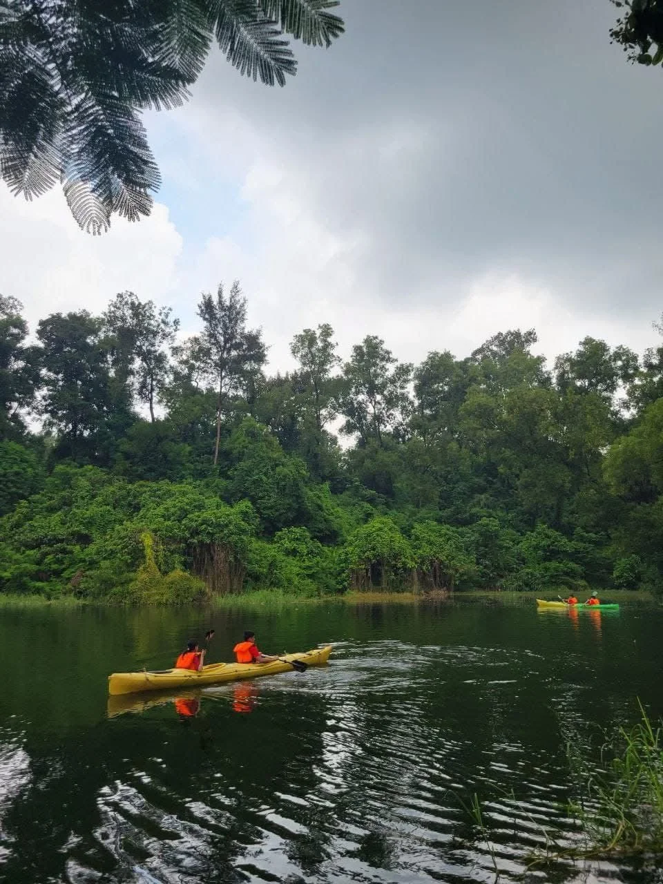 WhatsApp Image 2025-05-14 at 9.17.03 PM.jpeg