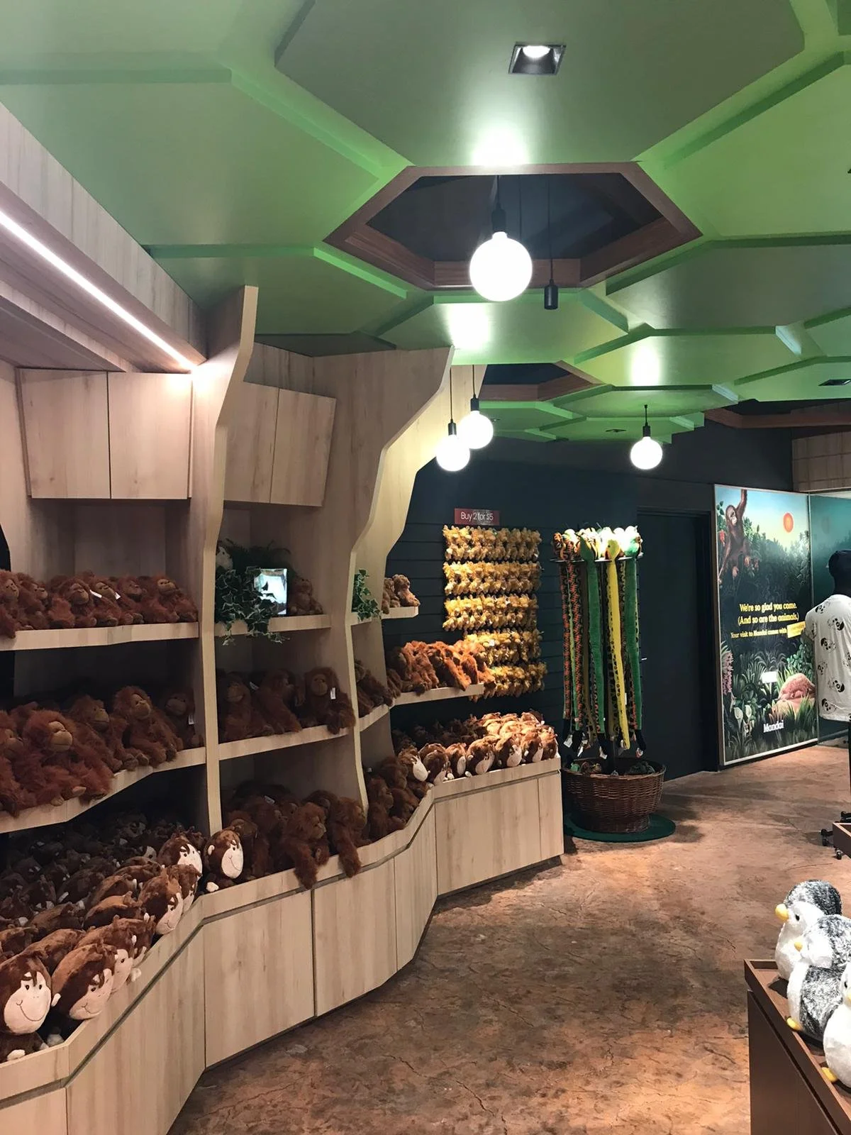 WhatsApp Image 2021-07-23 at 17.12.09 (1).jpeg