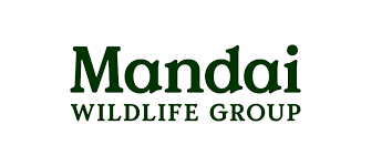 MANDAI.png