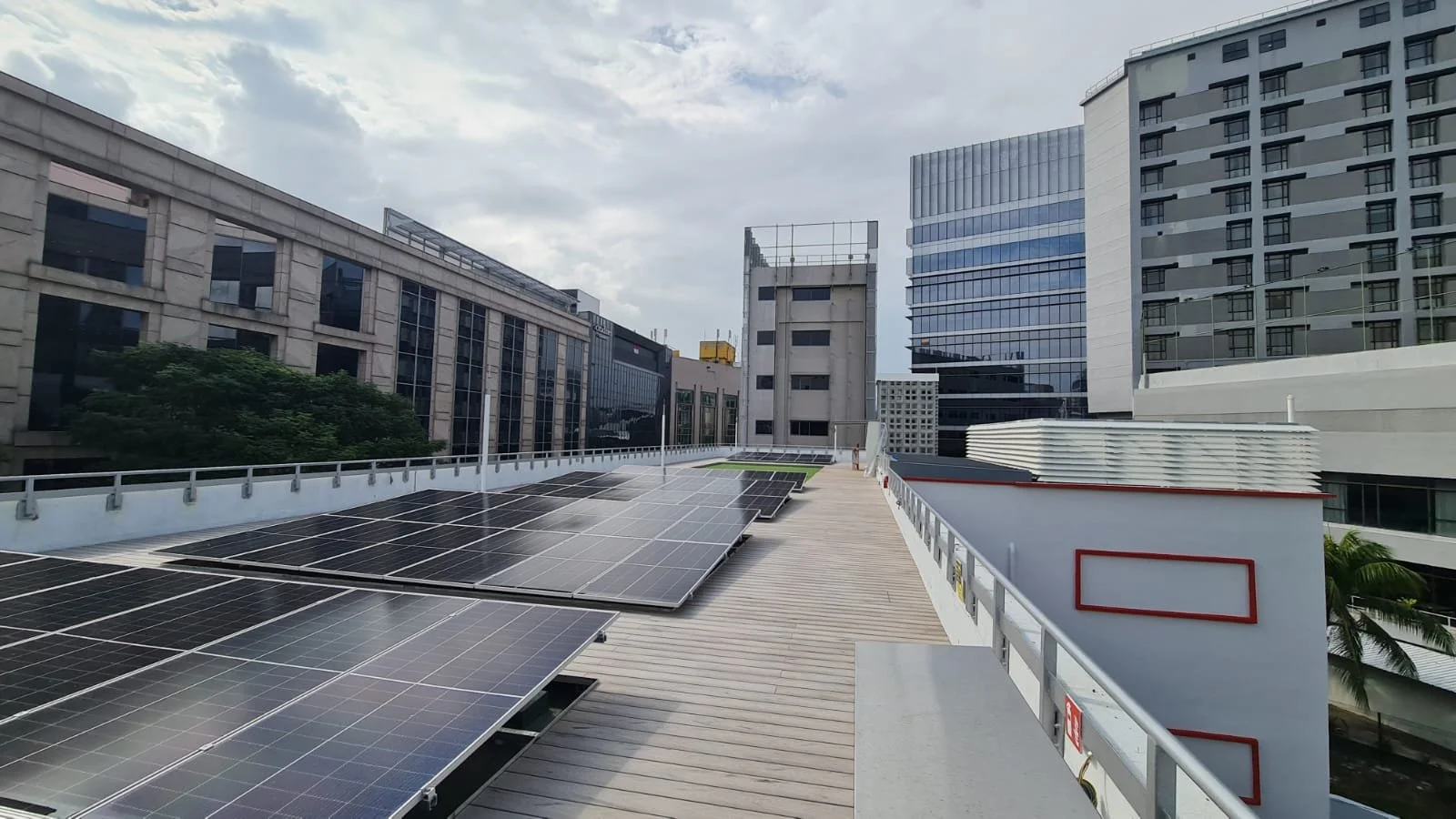 WhatsApp Image 2023-08-16 at 16.23.55.jpeg