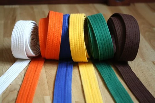 Six rolls of martial arts belts in white, orange, blue, yellow, green, and brown, with the belts unrolled slightly on a wooden surface.