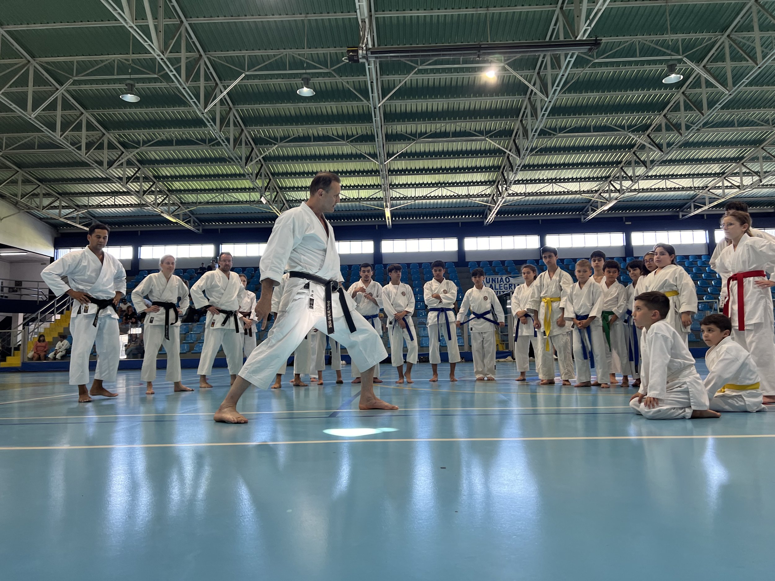 Karate class with instructor demonstrating techniques to children in a gymnasium.