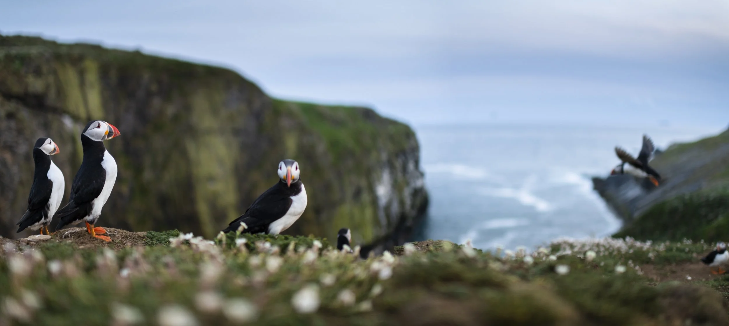 Tom_Mason_May 28, 2019-untitled shoot-_TM10876-Pano.jpg