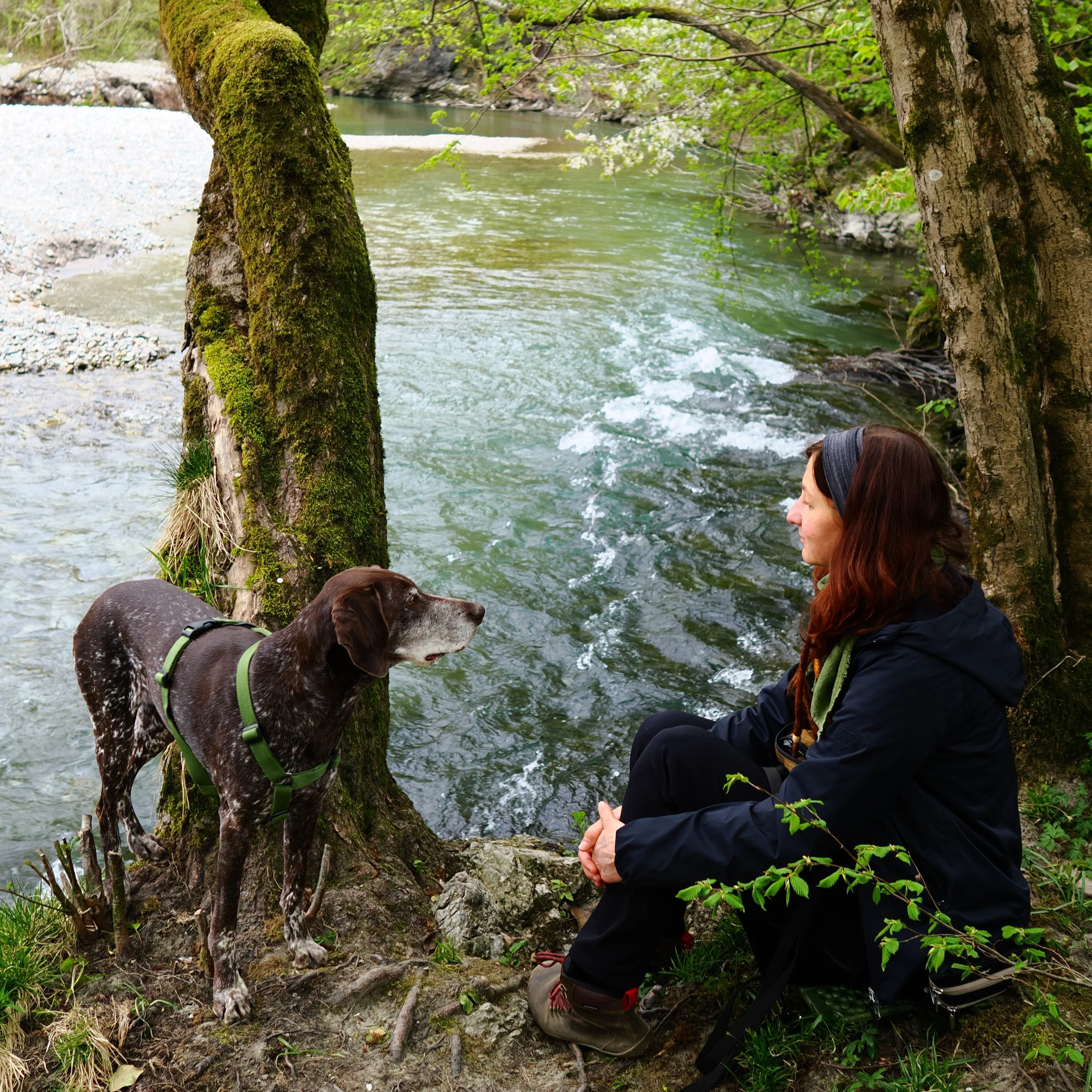 Kako so me psi naučili slišati in me pripeljali nazaj k sebi