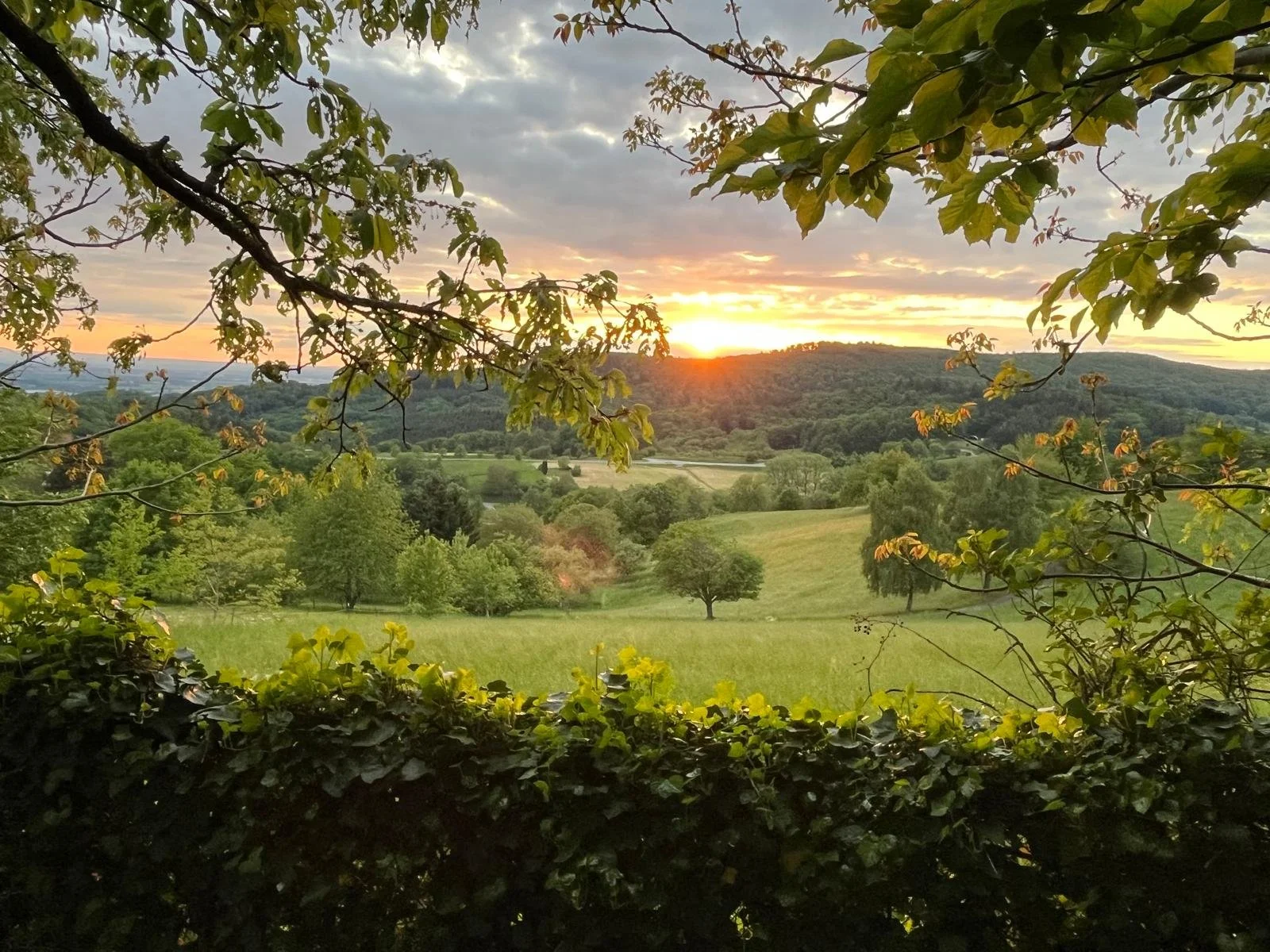 WhatsApp Image 2026-02-13 at 12.53.09.jpeg