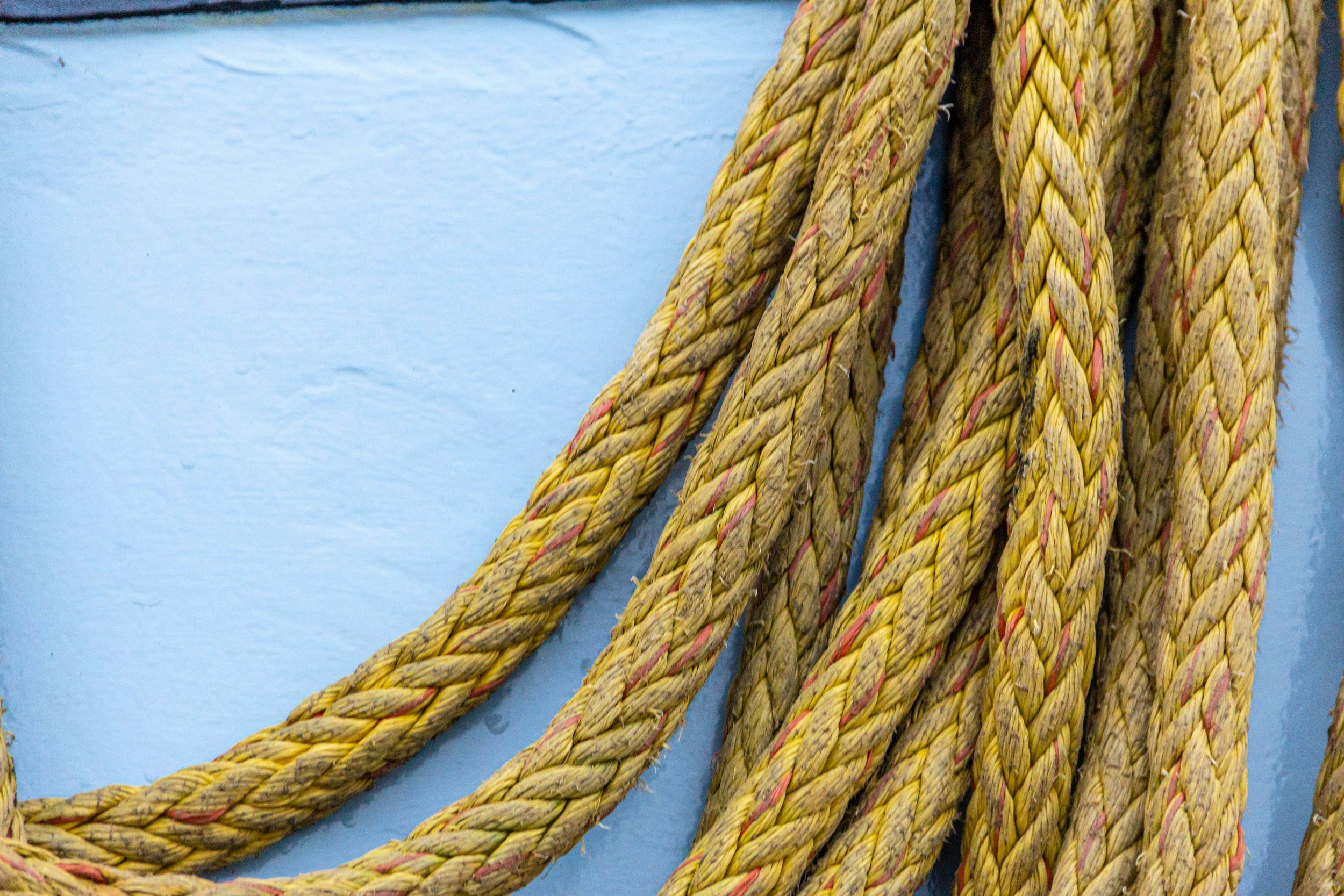 “Det gule tauet”