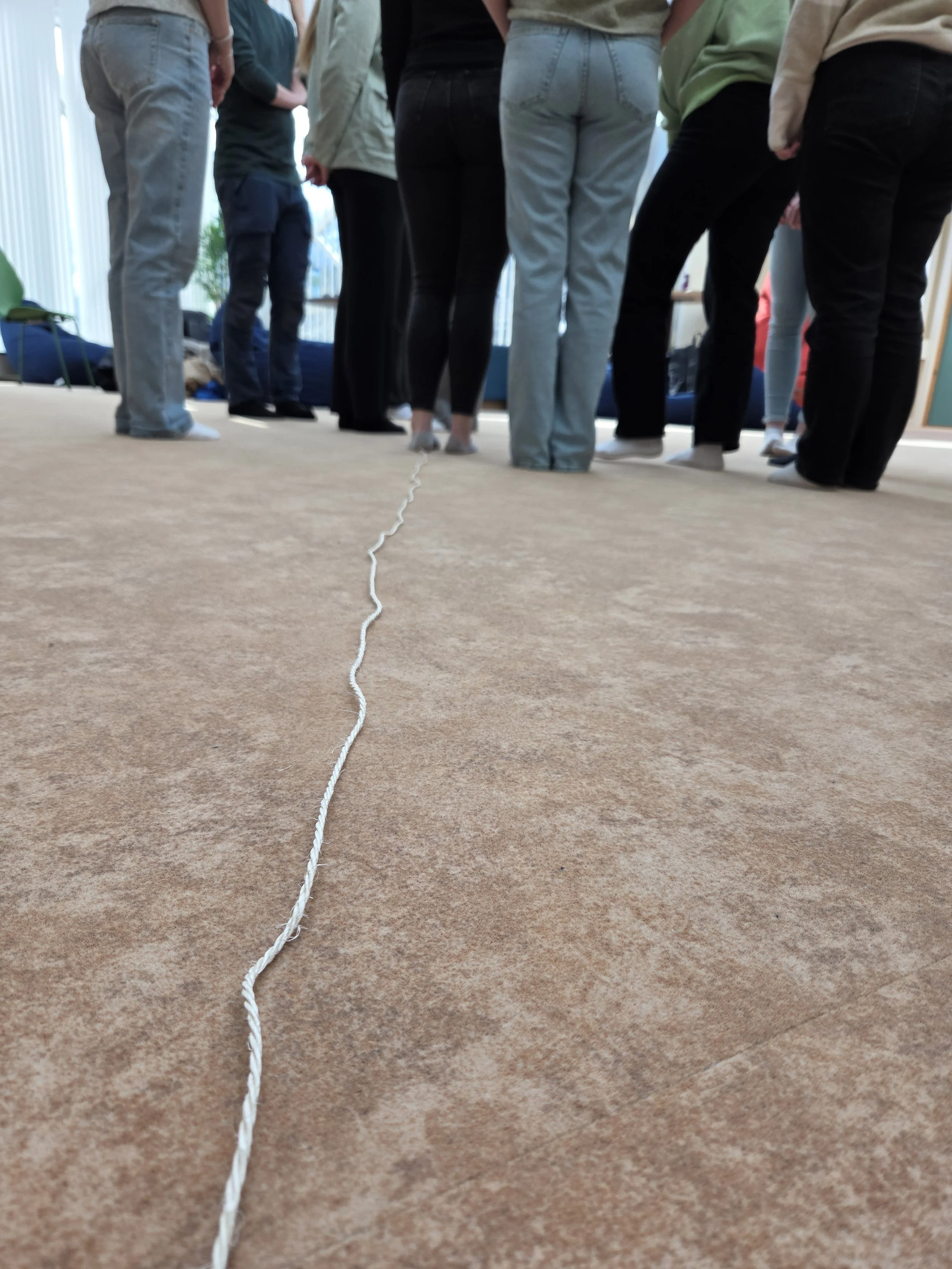 2025-04-08 10.30.13.jpg