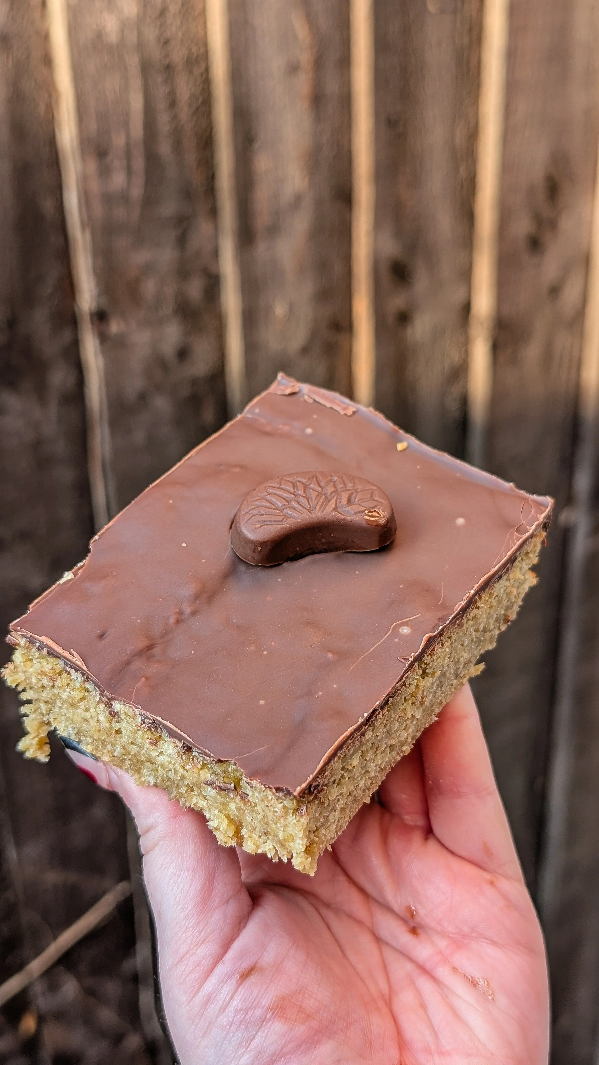 Orange Choc Flapjack
