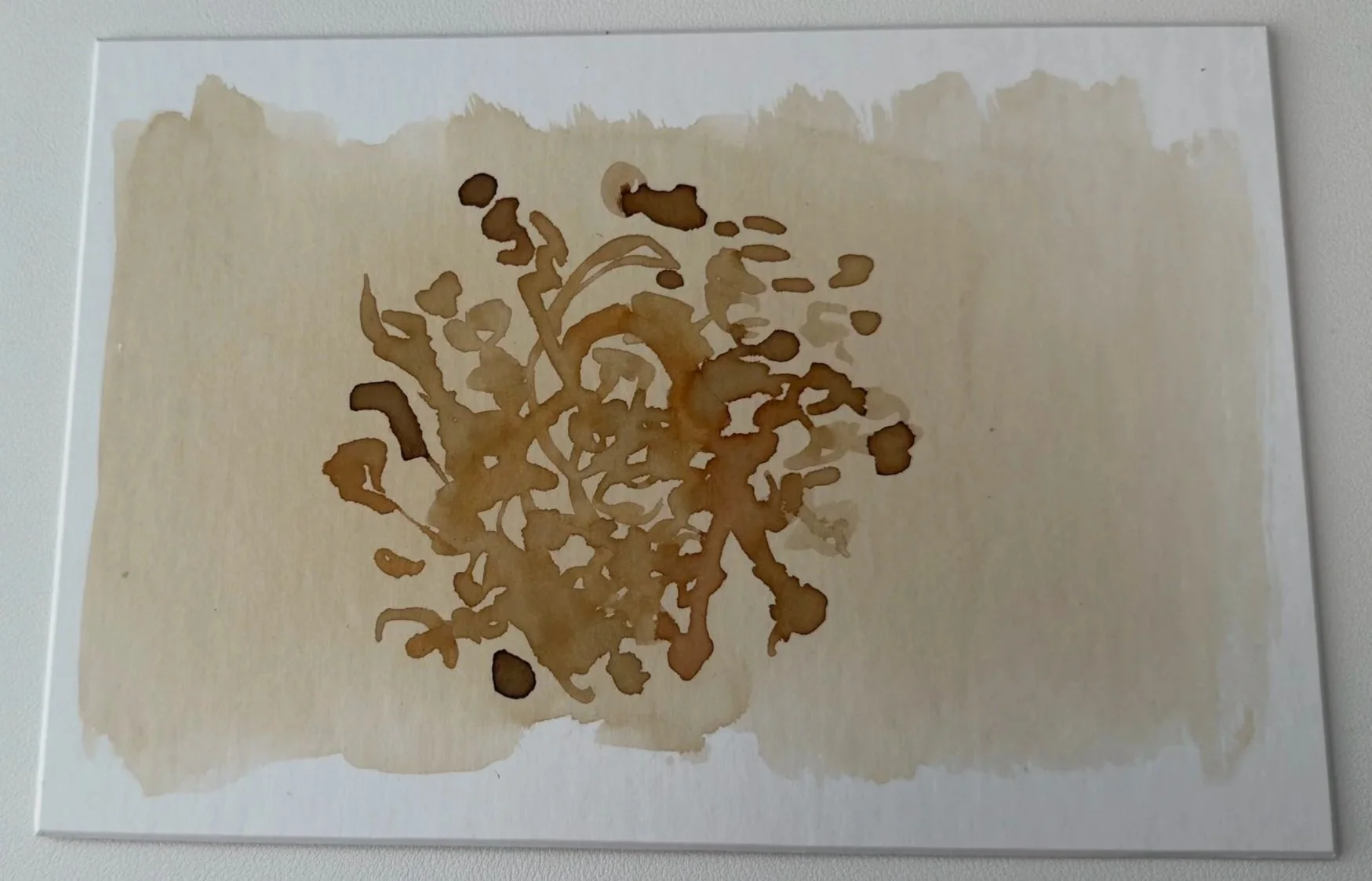 DT_2026_Beach_roots_shadows_ink_1.jpg