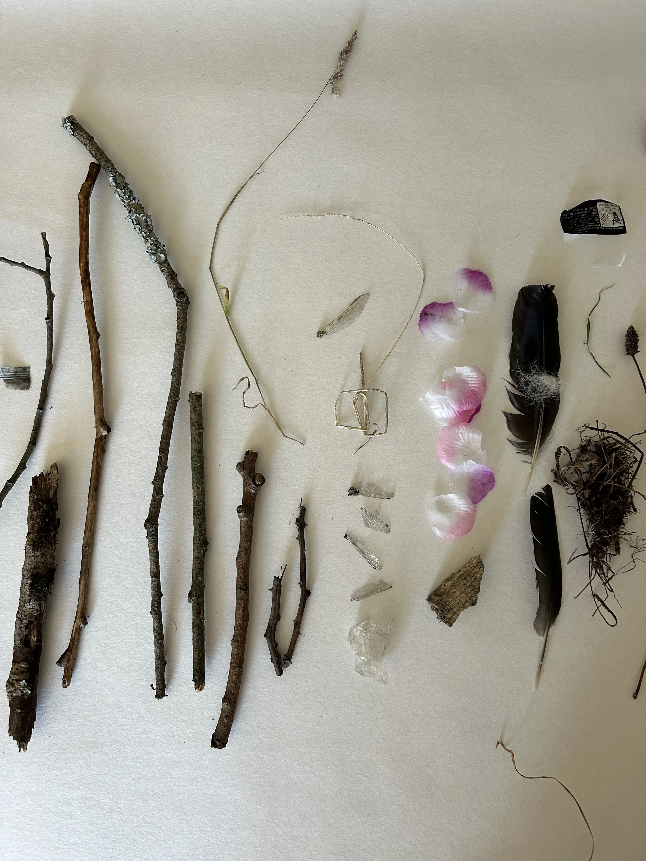 Mindful Sketching & Gathering
