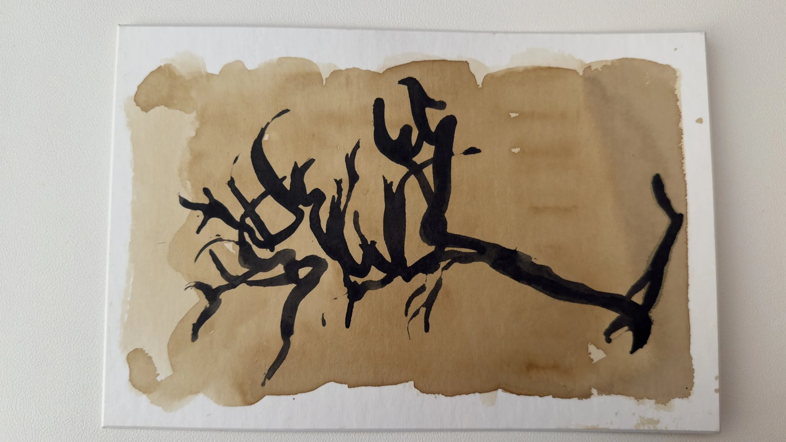 DT_2026_Beach_Roots_Black_ink_1.jpg